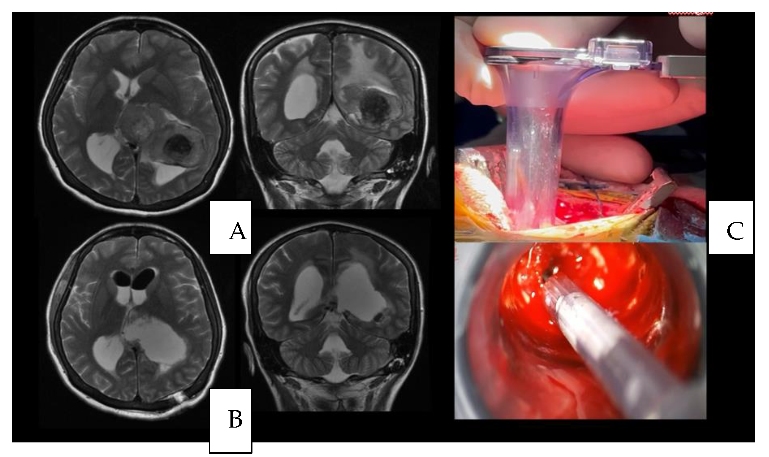 Brainsci 13 00498 g003 Brainsci 13 00498 g003