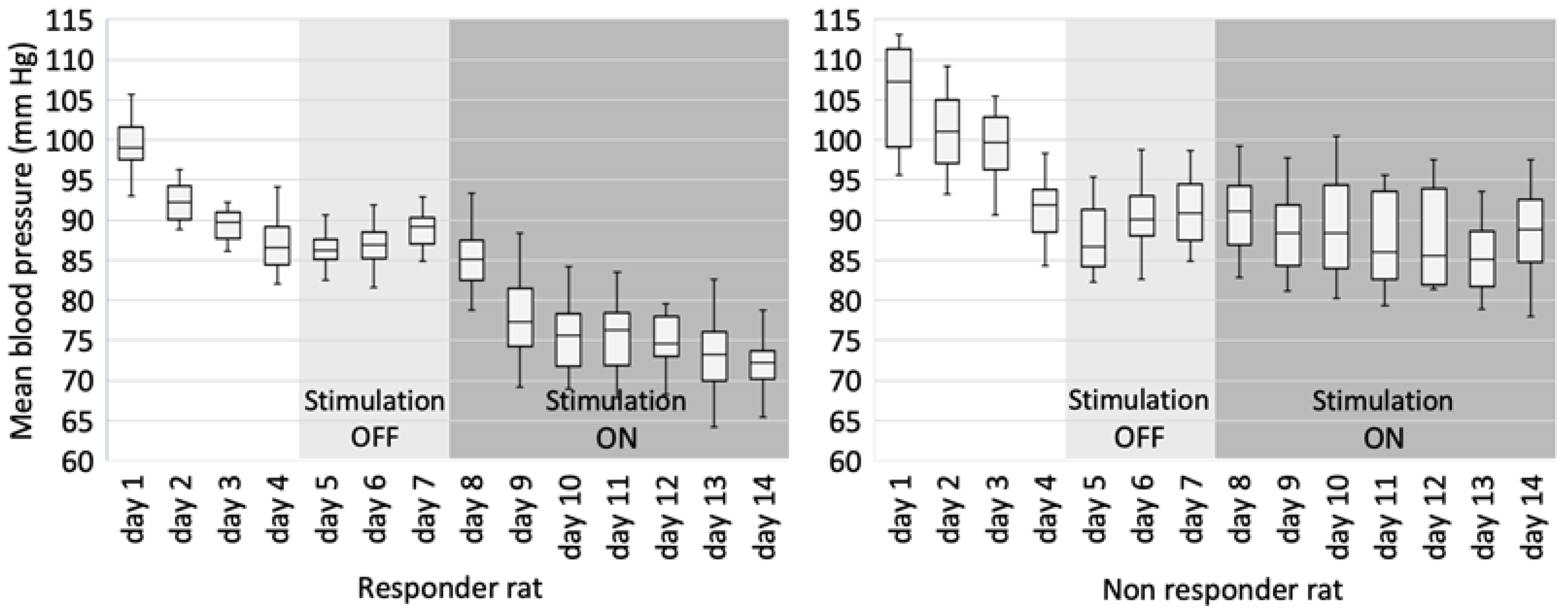 Brainsci 13 00504 g006