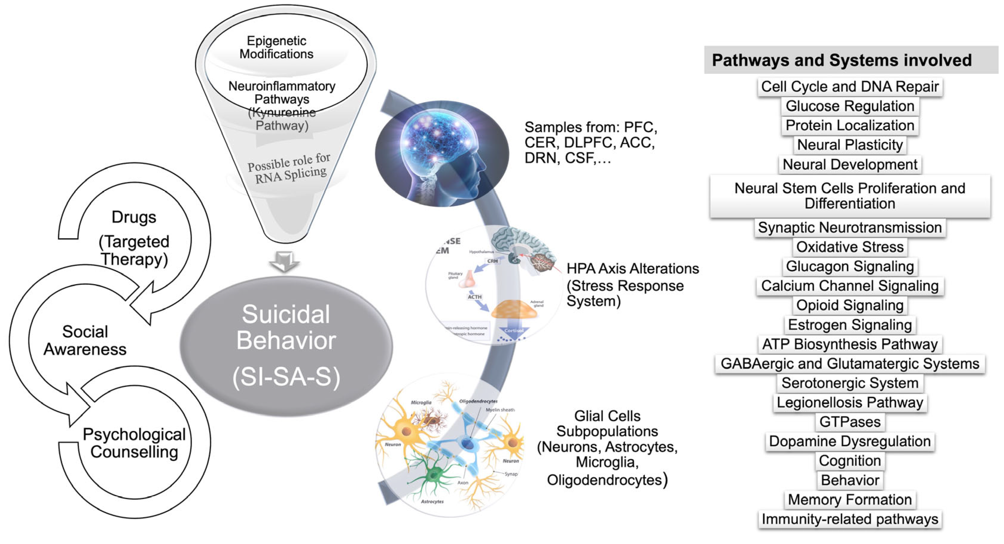 Brainsci 13 00505 g004 Brainsci 13 00505 g004
