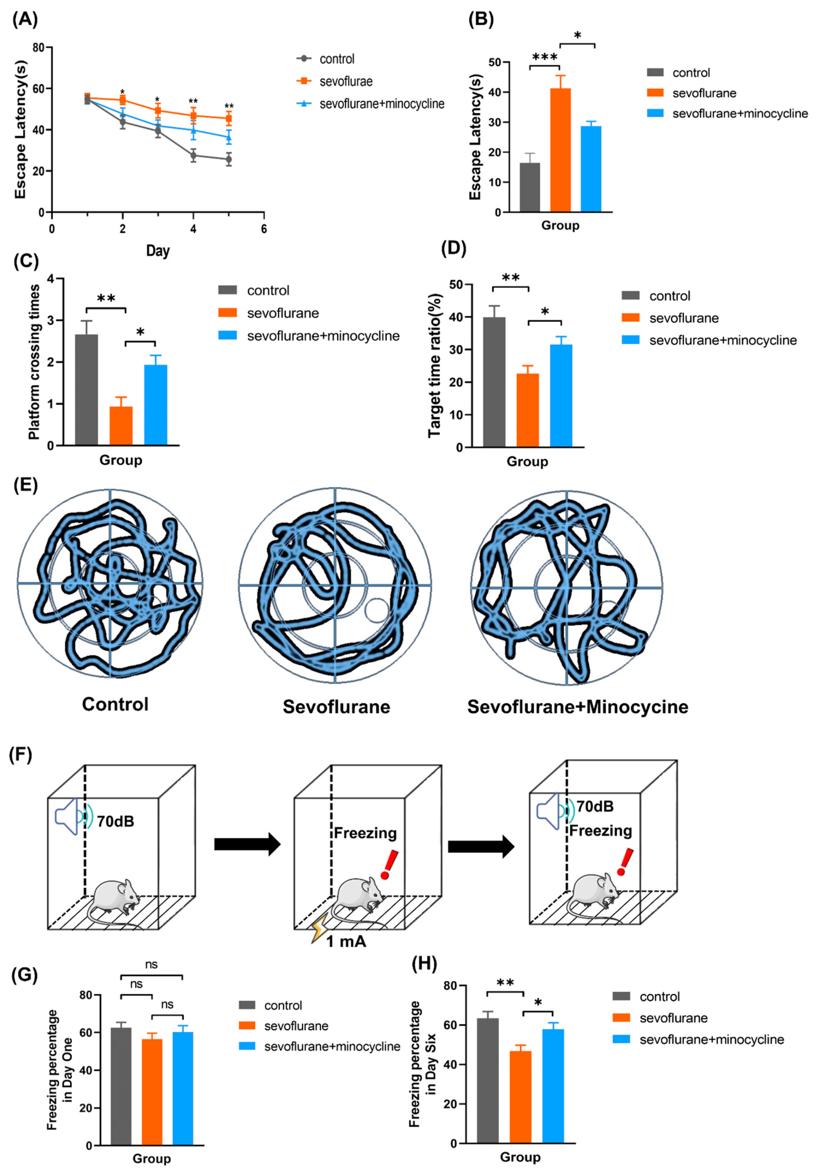 Brainsci 13 00512 g001