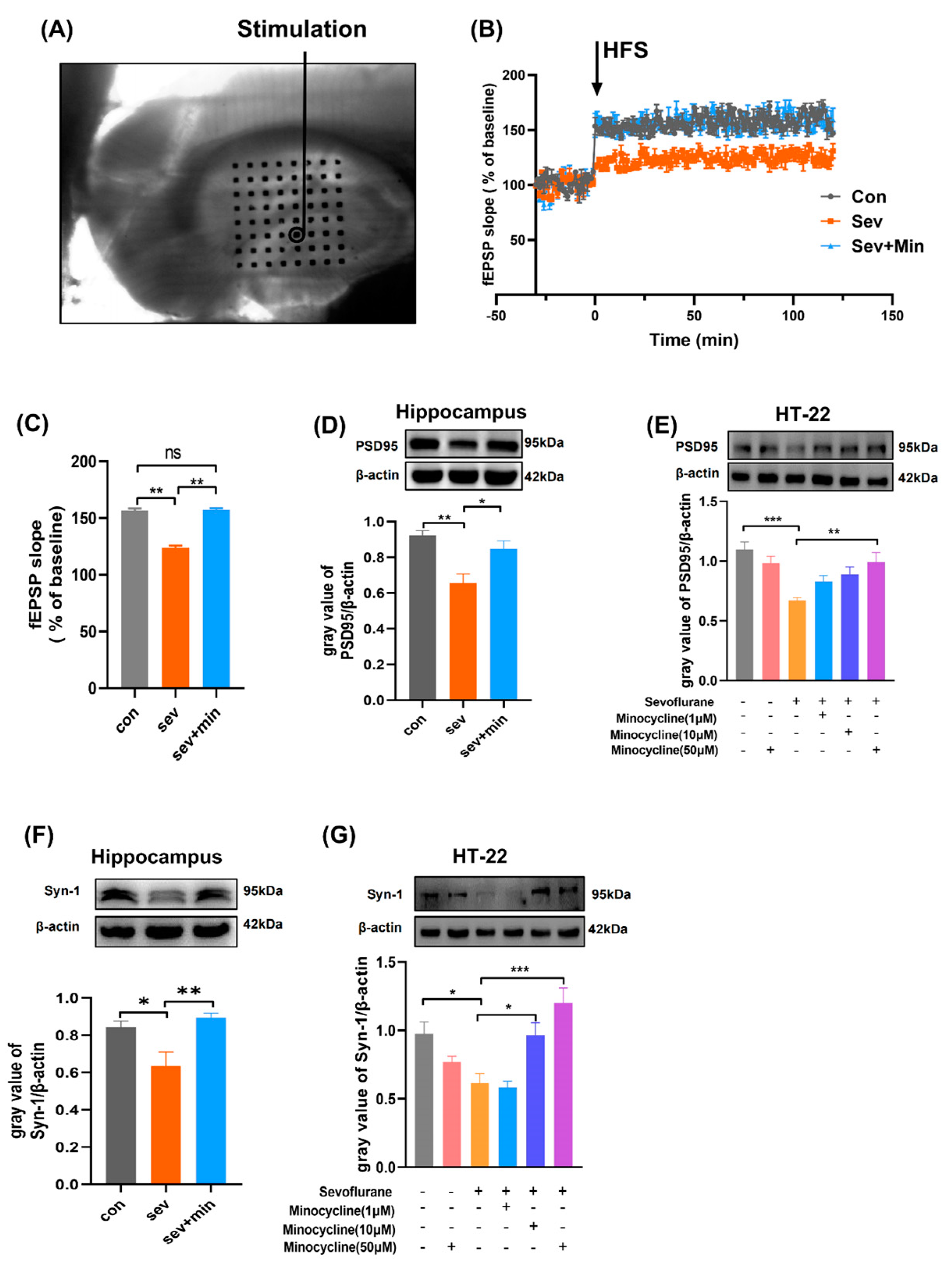 Brainsci 13 00512 g002