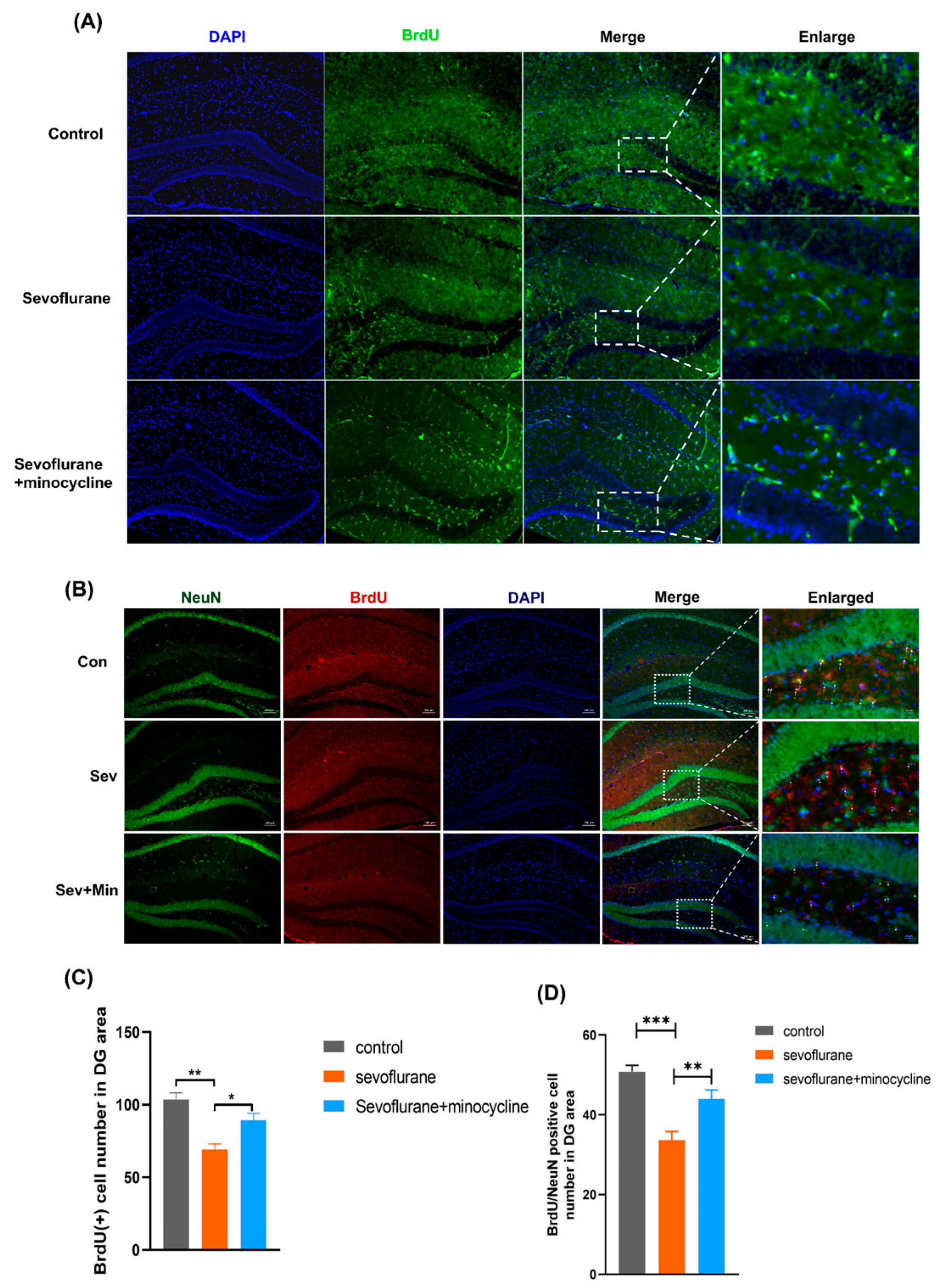 Brainsci 13 00512 g003