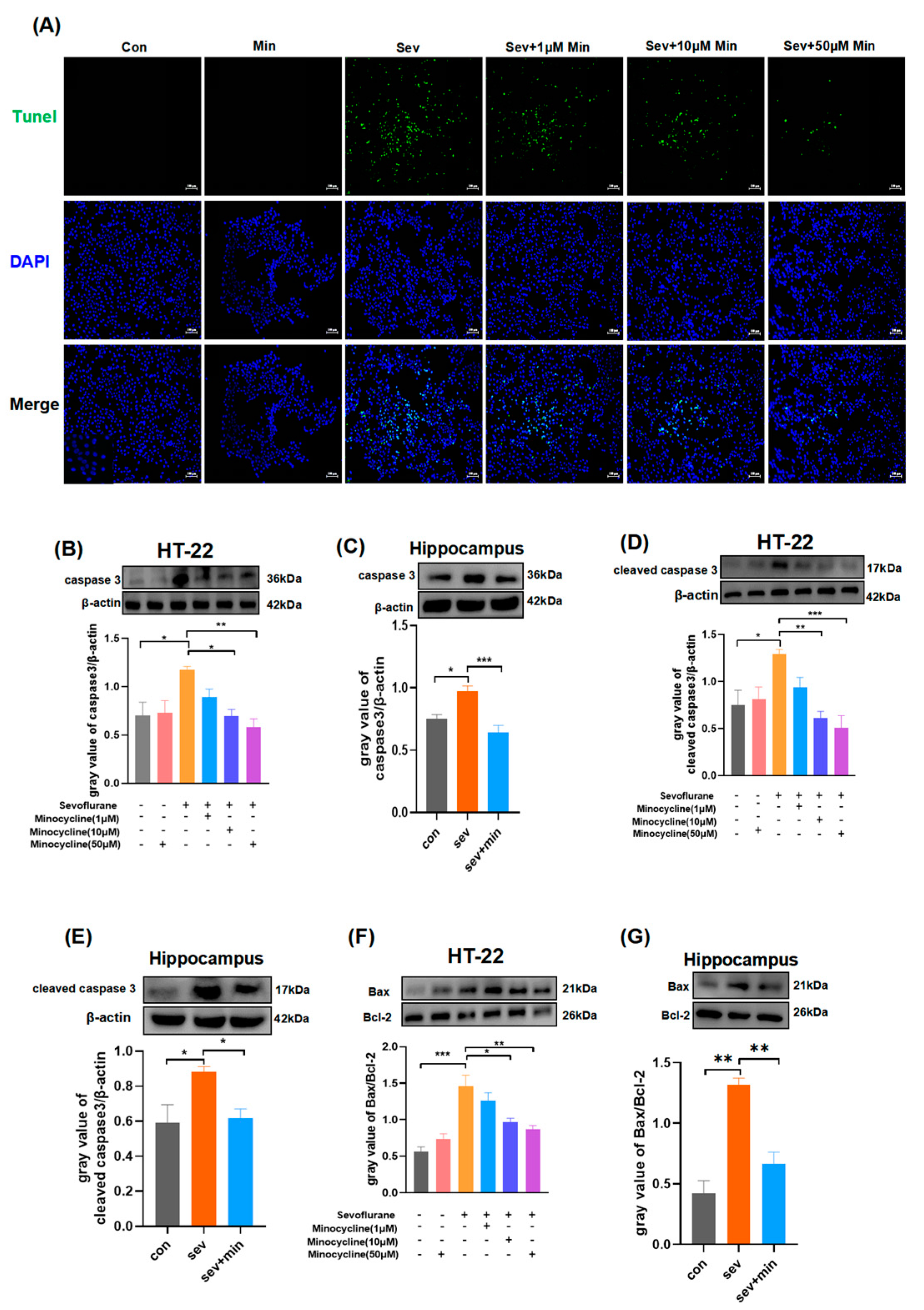 Brainsci 13 00512 g004