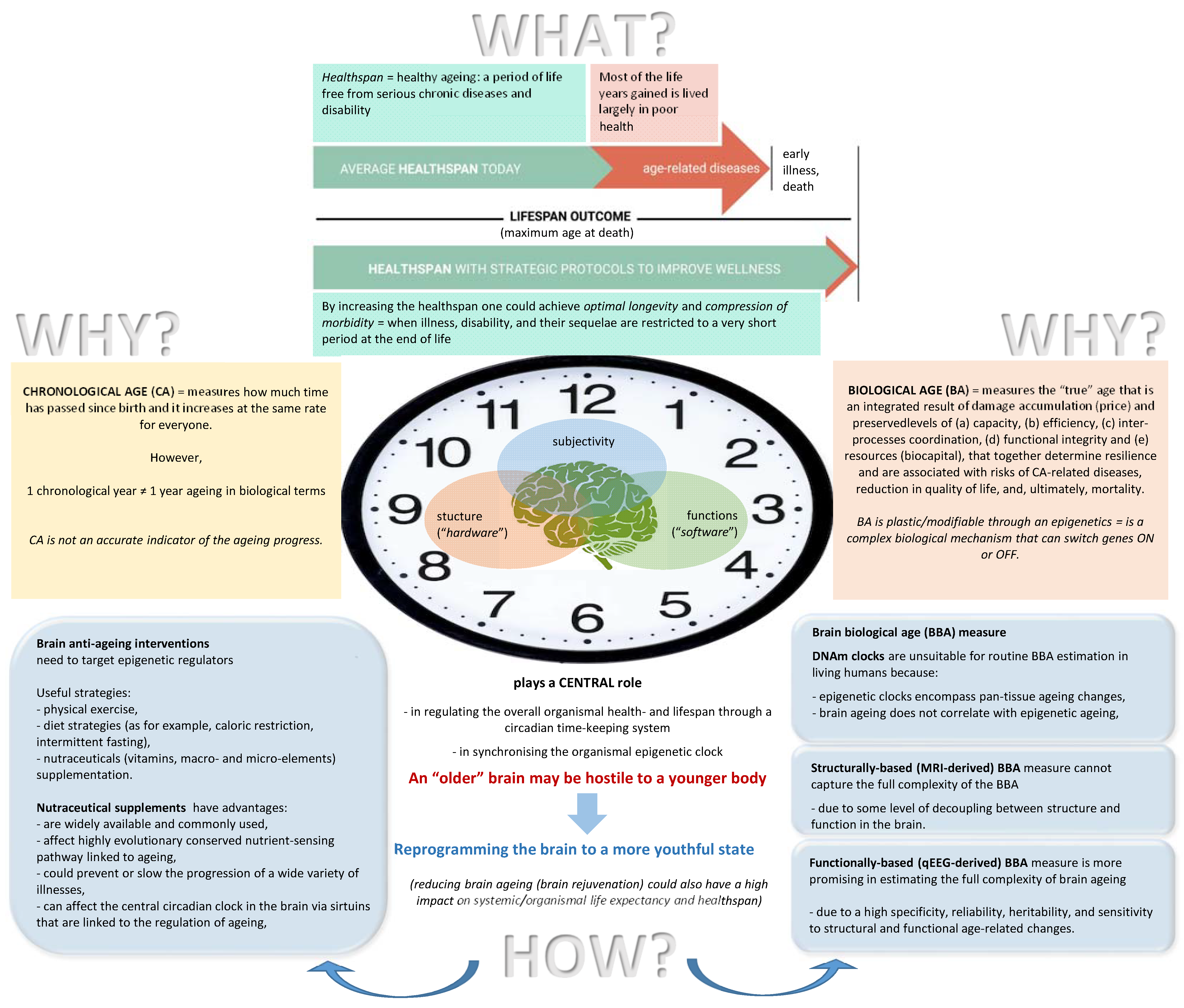 Correlation analysis of chronological age, scores in modified frailty