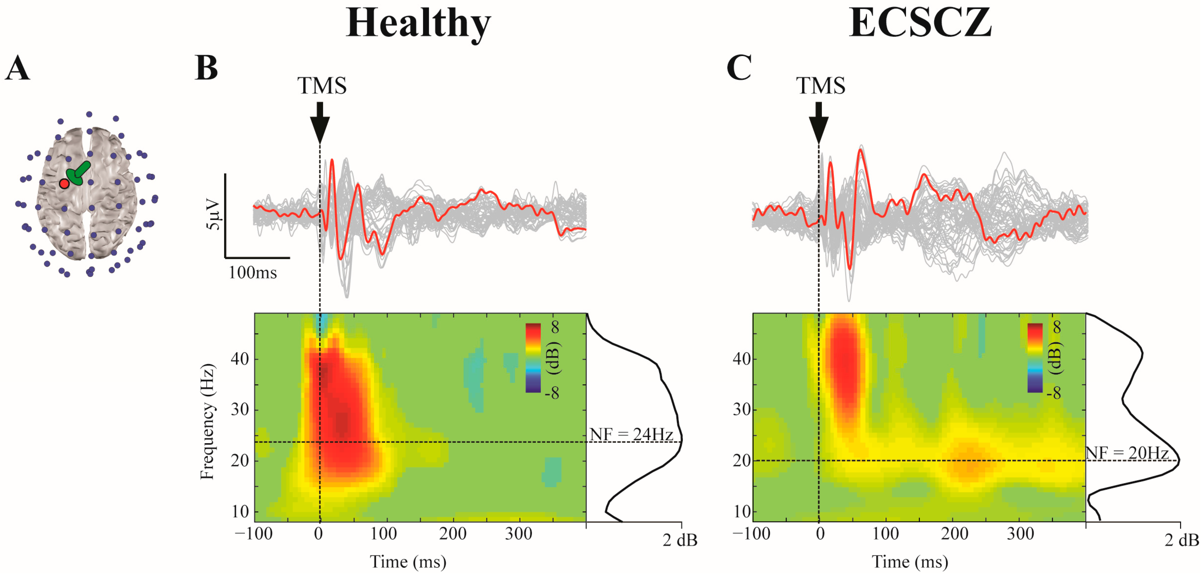 Brainsci 13 00534 g001
