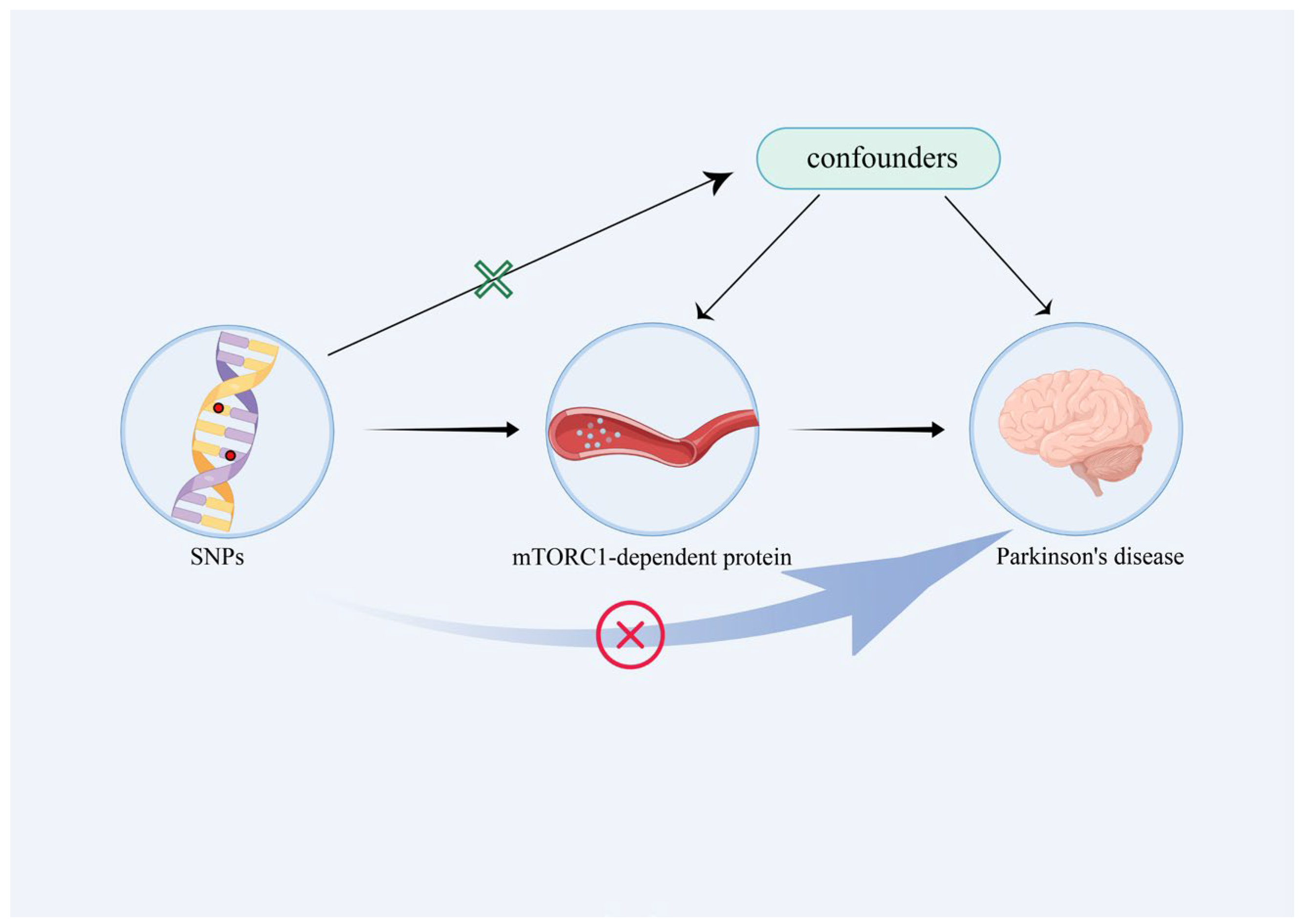 Brainsci 13 00536 g001