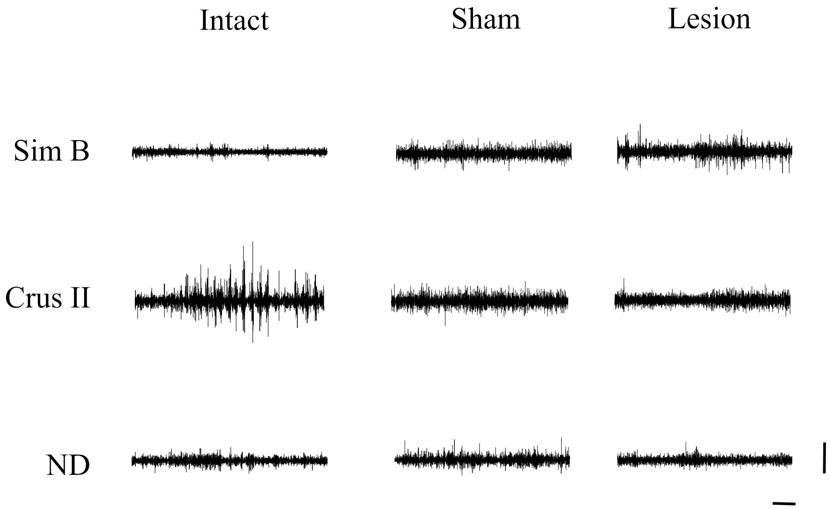 Brainsci 13 00537 g001