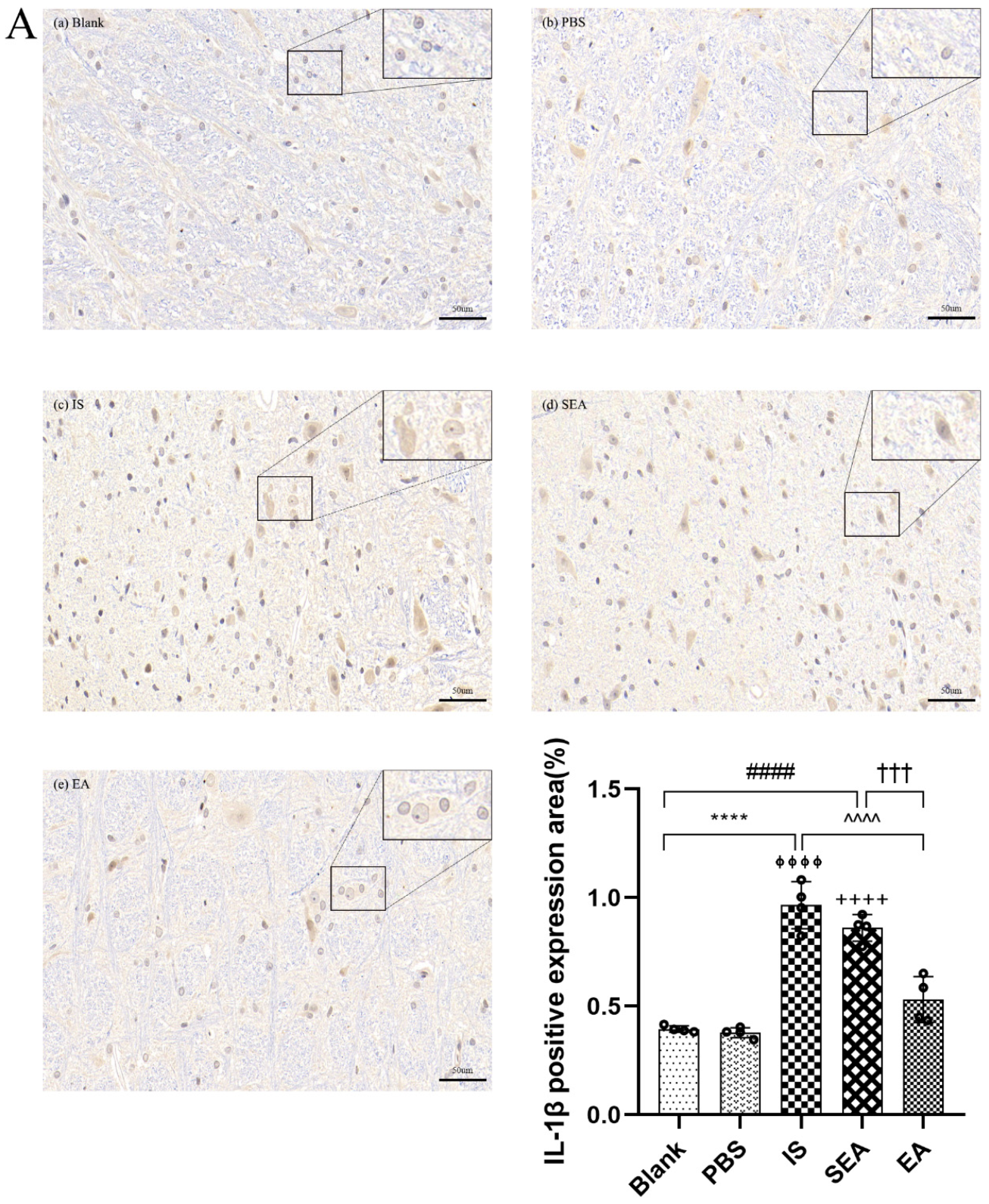 Brainsci 13 00541 g005a Brainsci 13 00541 g005a