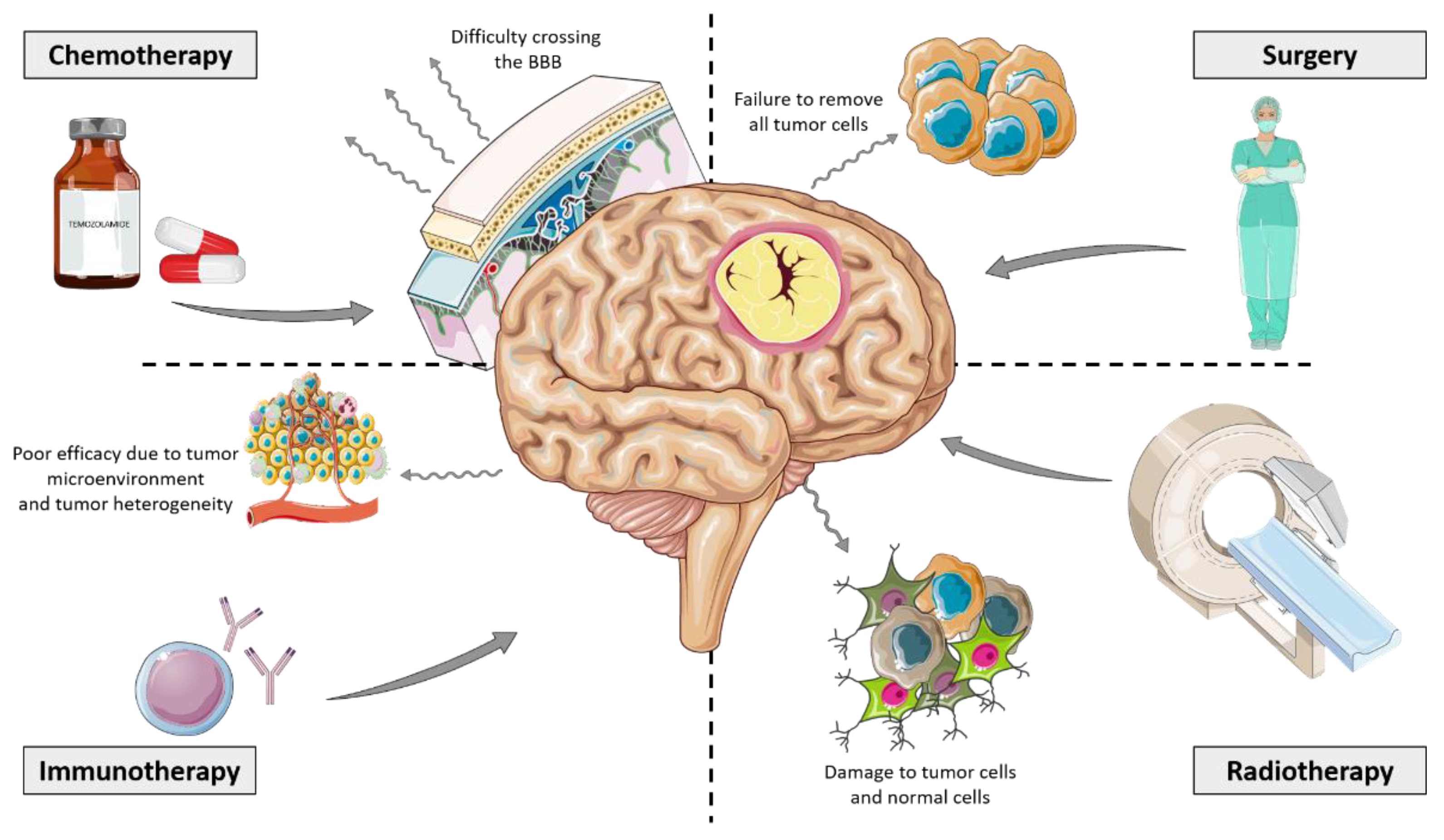 Brainsci 13 00542 g004 Brainsci 13 00542 g004