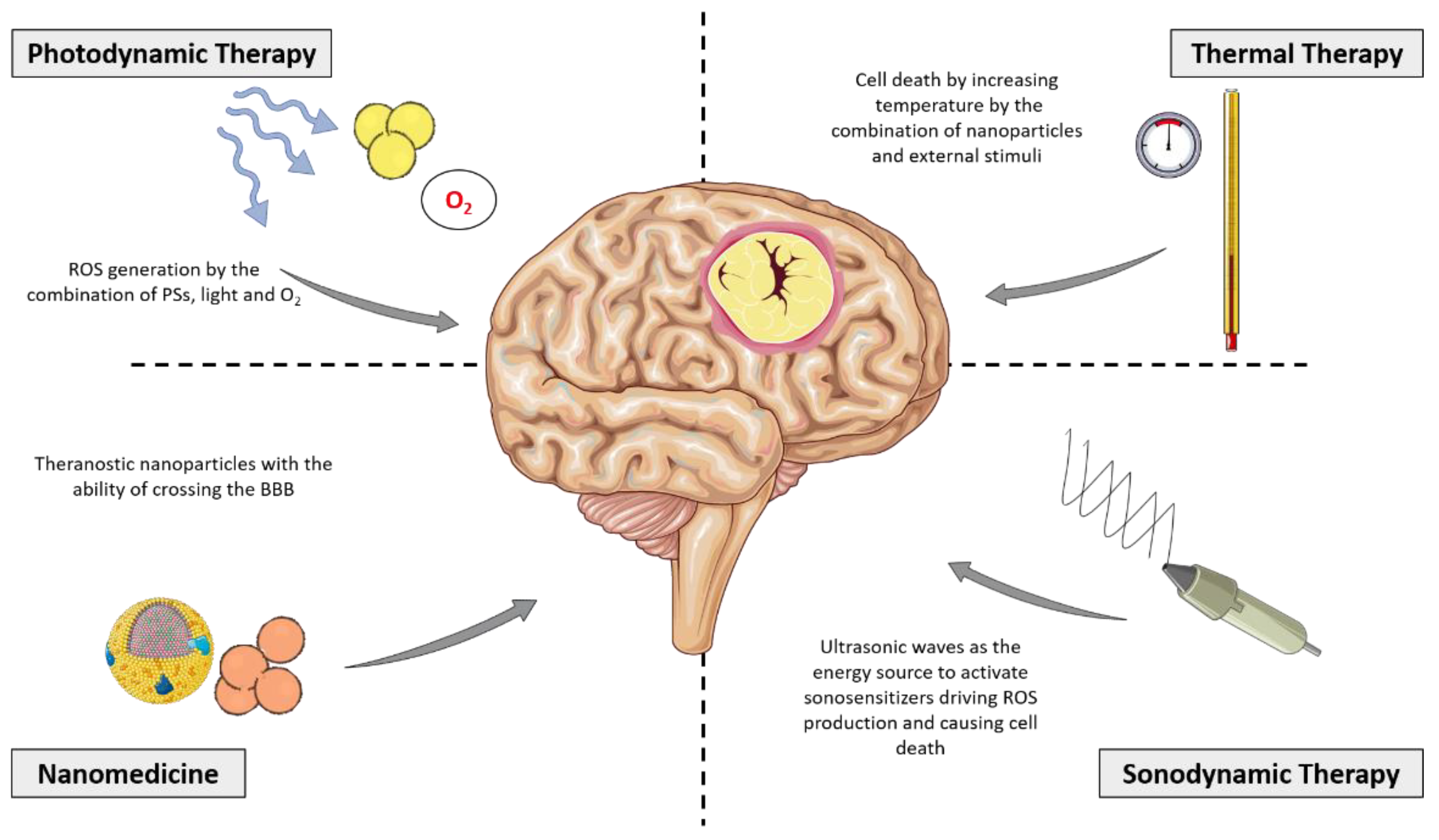 Brainsci 13 00542 g005 Brainsci 13 00542 g005