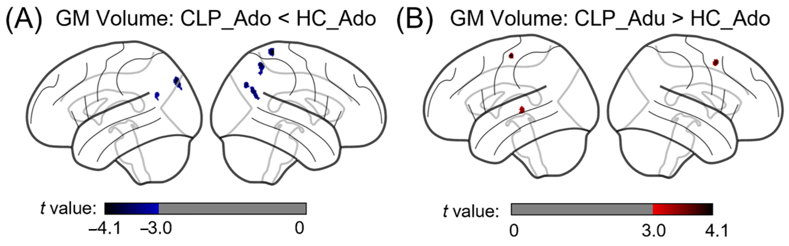 Brainsci 13 00550 g001