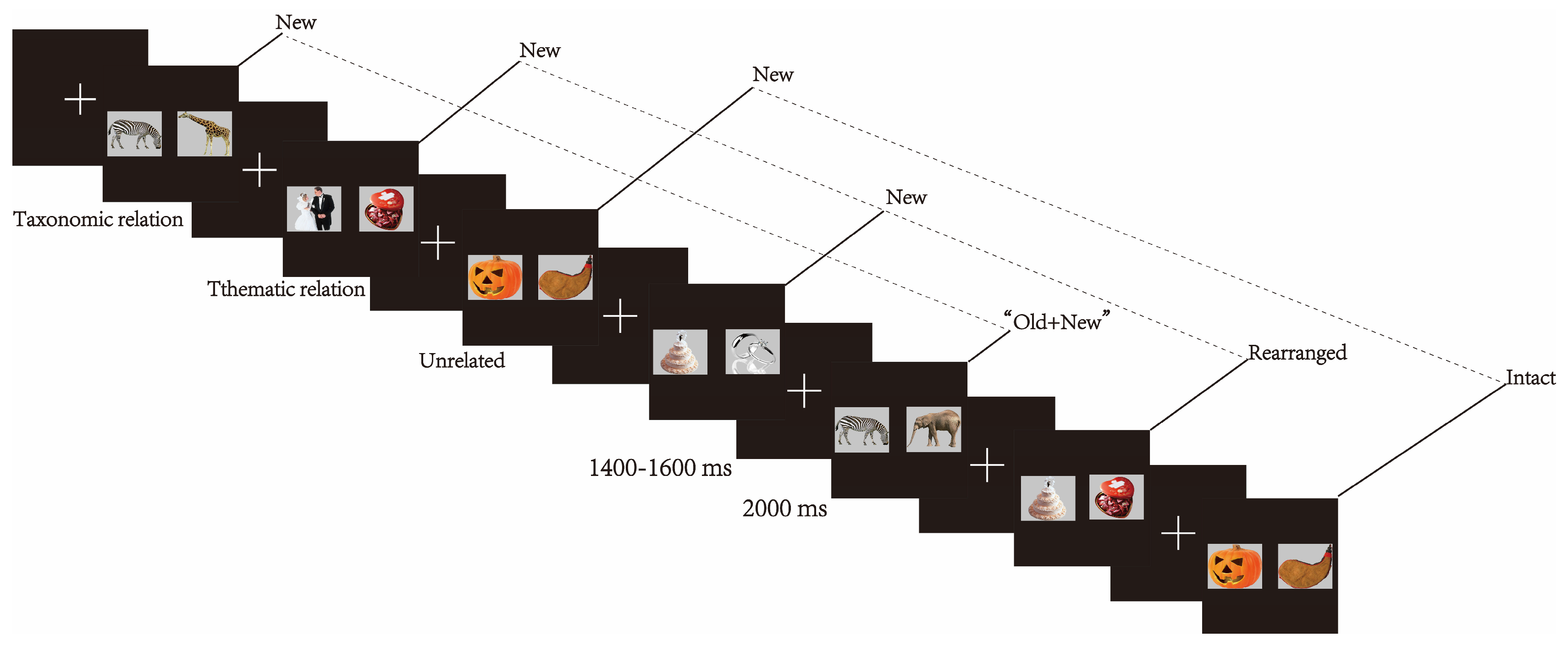 Brainsci 13 00553 g001 Brainsci 13 00553 g001