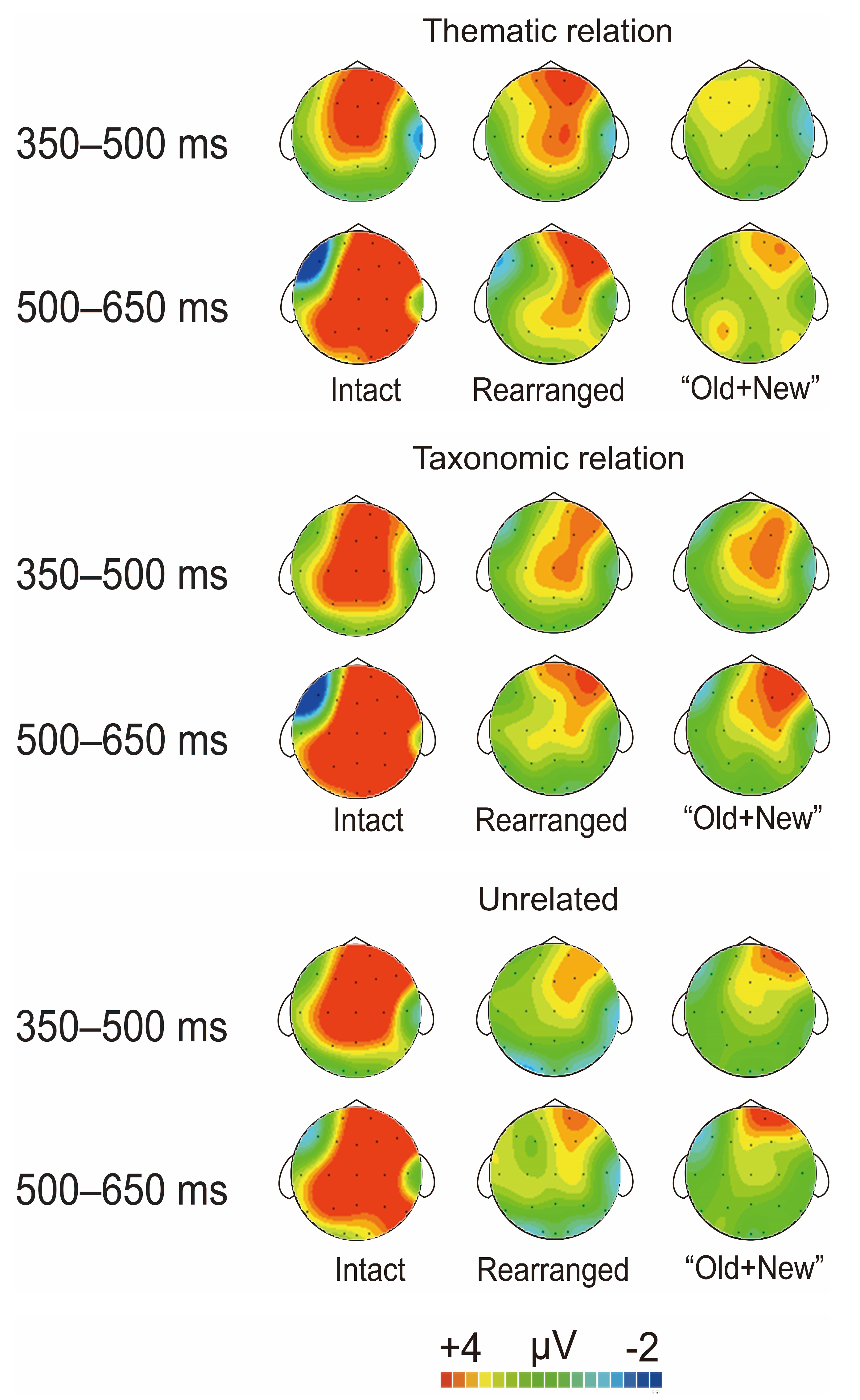 Brainsci 13 00553 g005 Brainsci 13 00553 g005