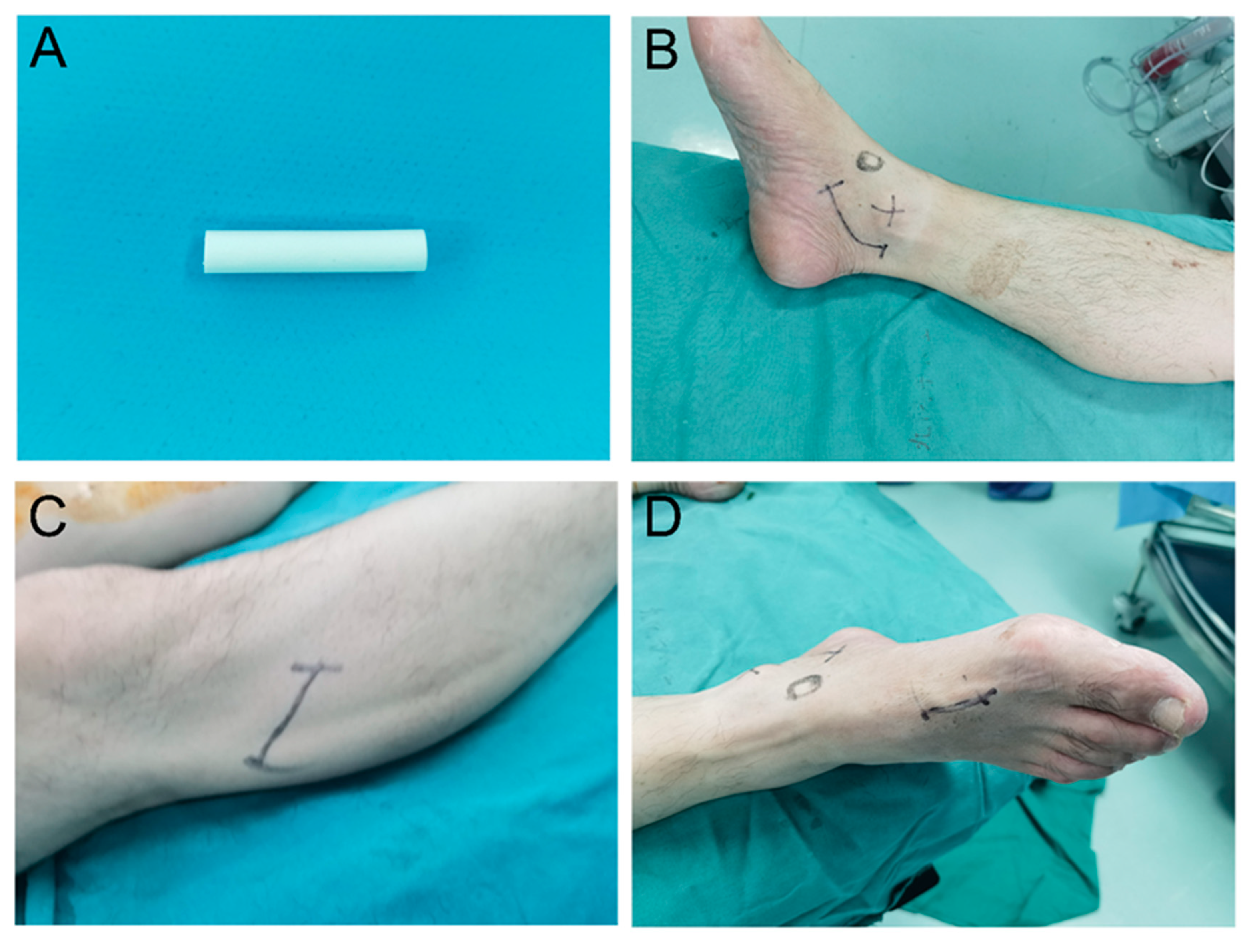 Brainsci 13 00558 g001 Brainsci 13 00558 g001