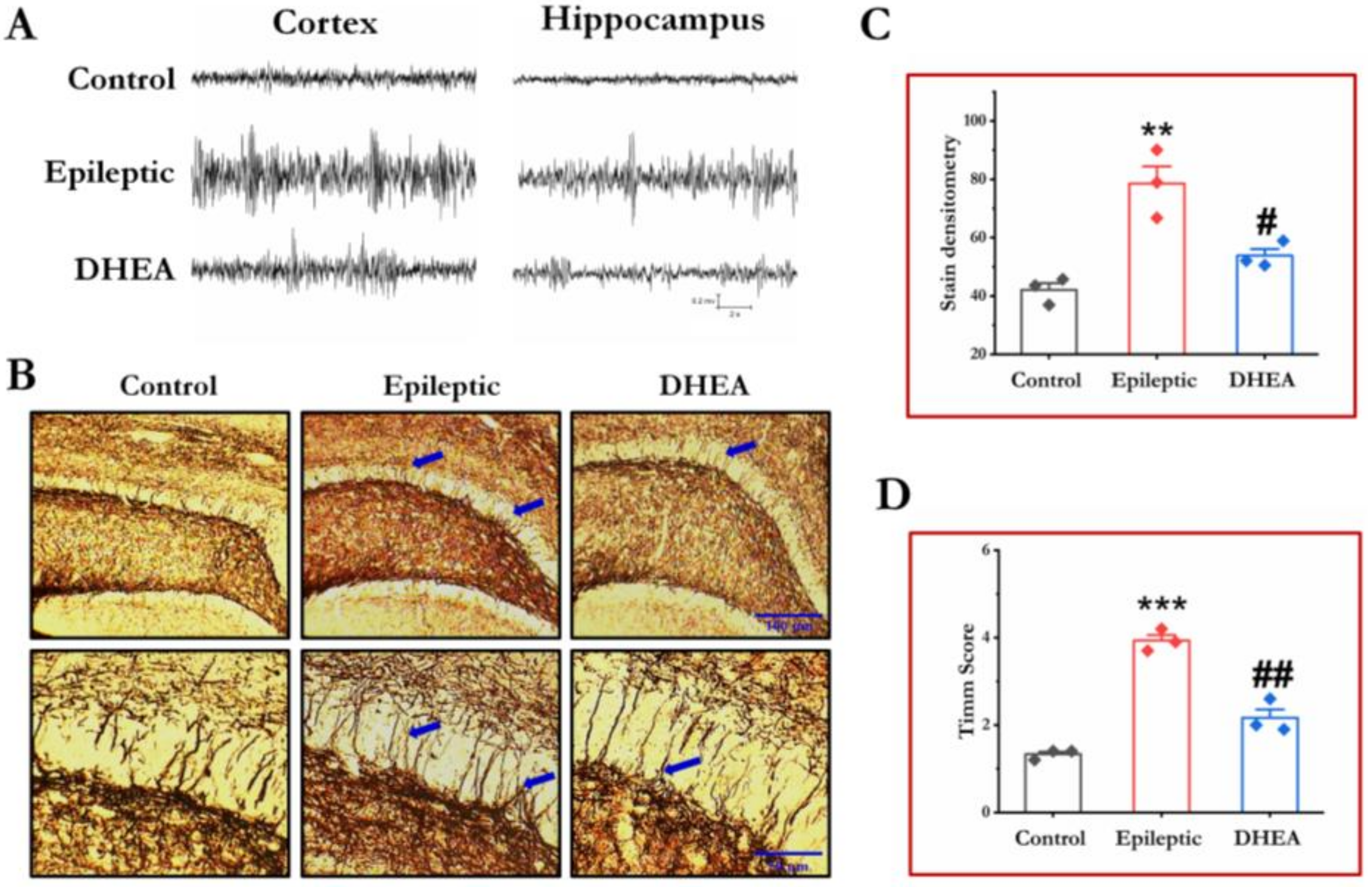Brainsci 13 00563 g002
