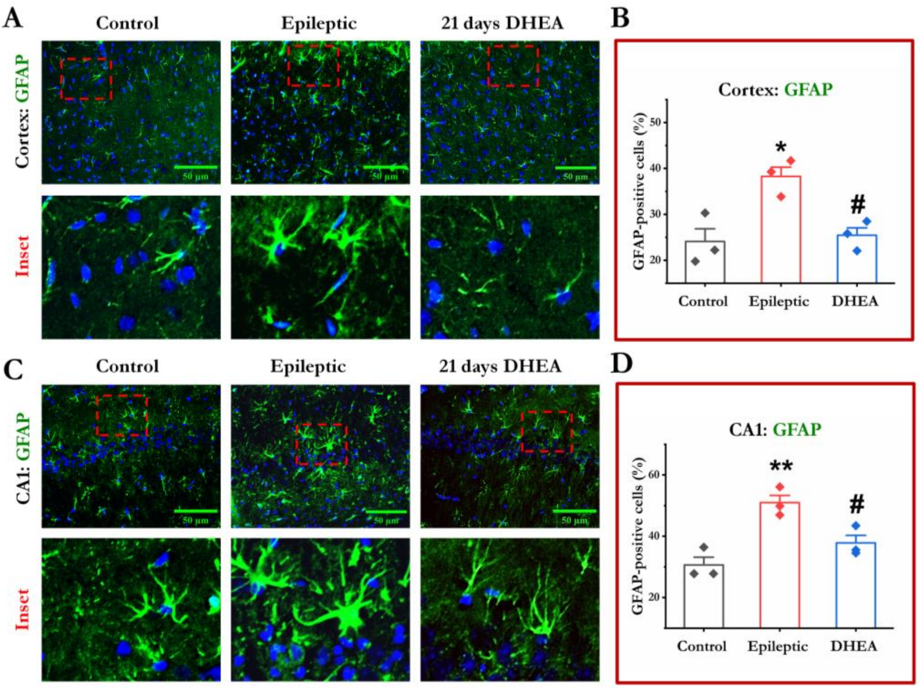 Brainsci 13 00563 g003