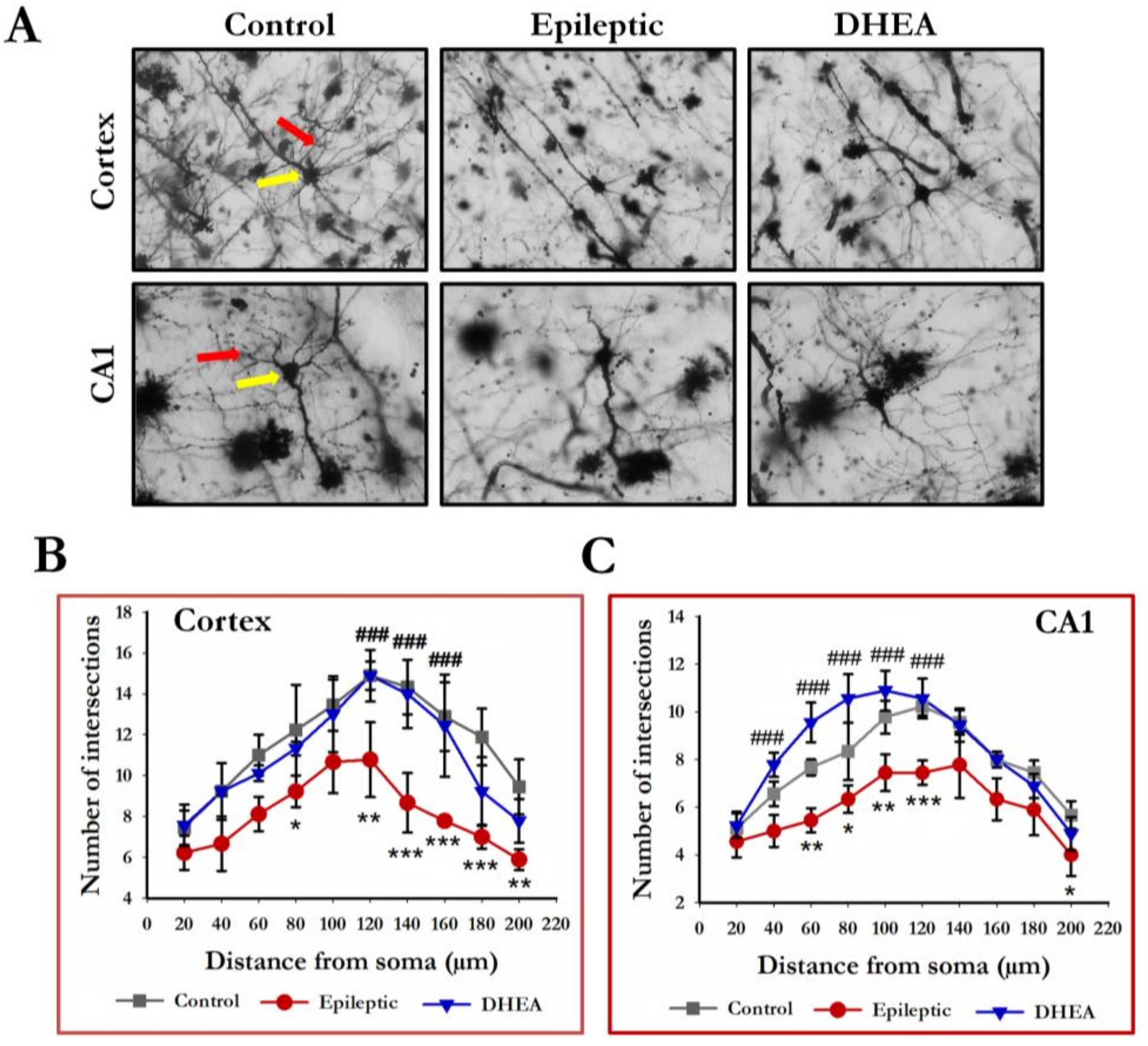 Brainsci 13 00563 g005
