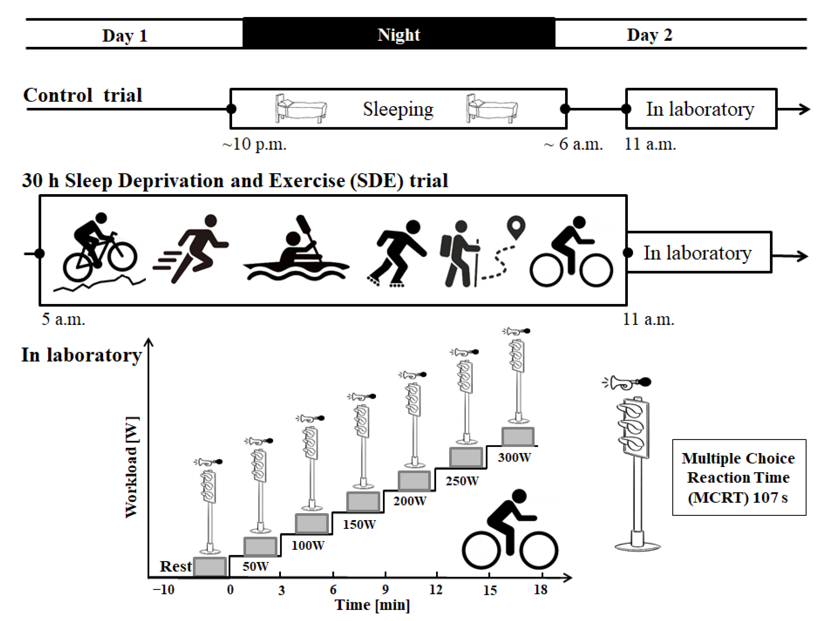 Brainsci 13 00570 g001 Brainsci 13 00570 g001