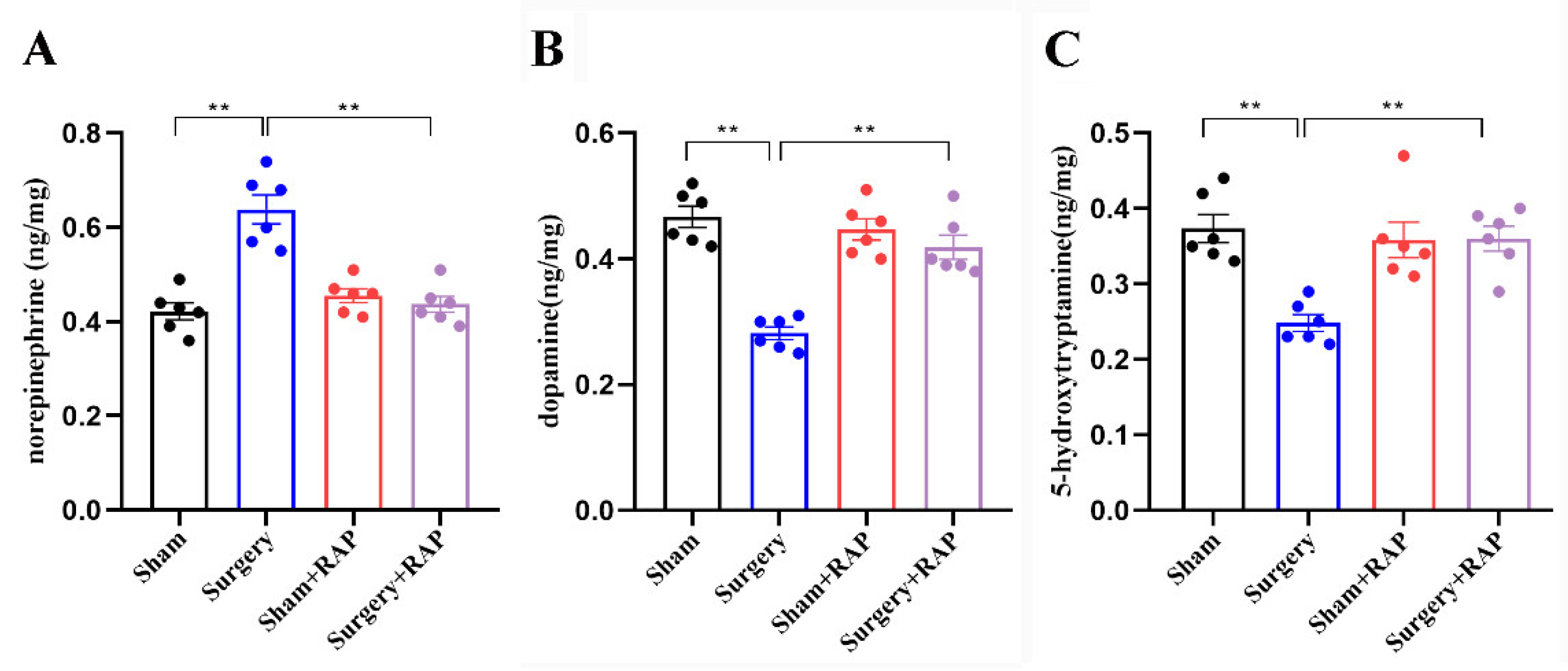 Brainsci 13 00598 g006 Brainsci 13 00598 g006
