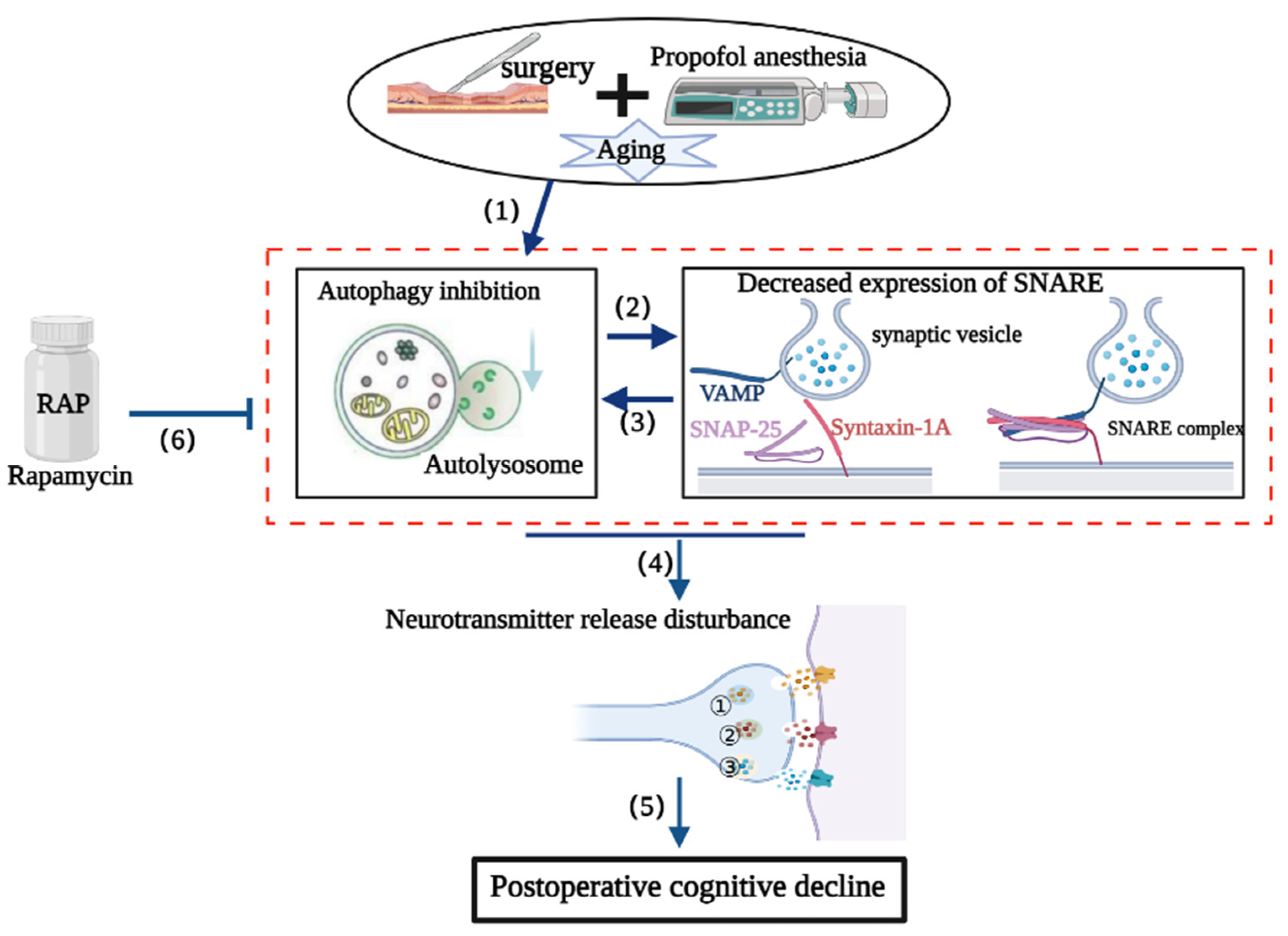 Brainsci 13 00598 g008 Brainsci 13 00598 g008