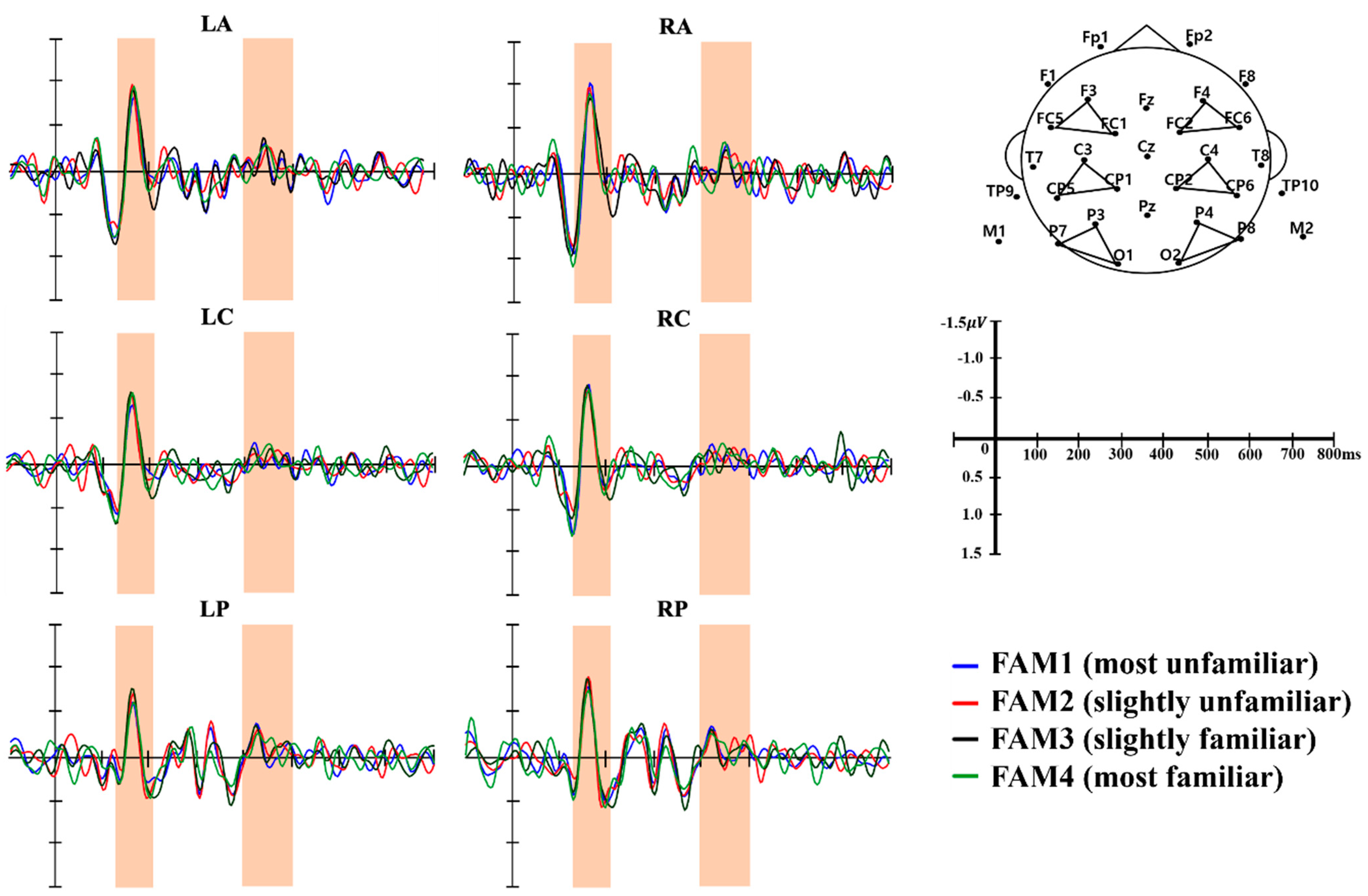 Brainsci 13 00621 g001 Brainsci 13 00621 g001