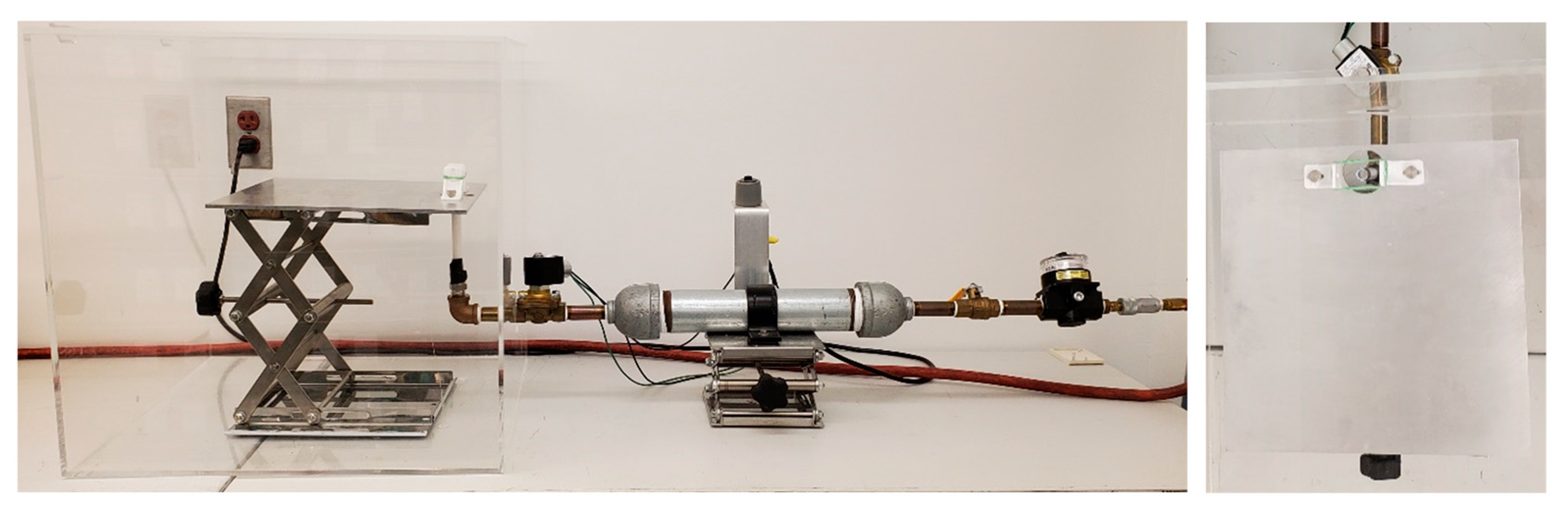 Brainsci 13 00623 g001 Brainsci 13 00623 g001