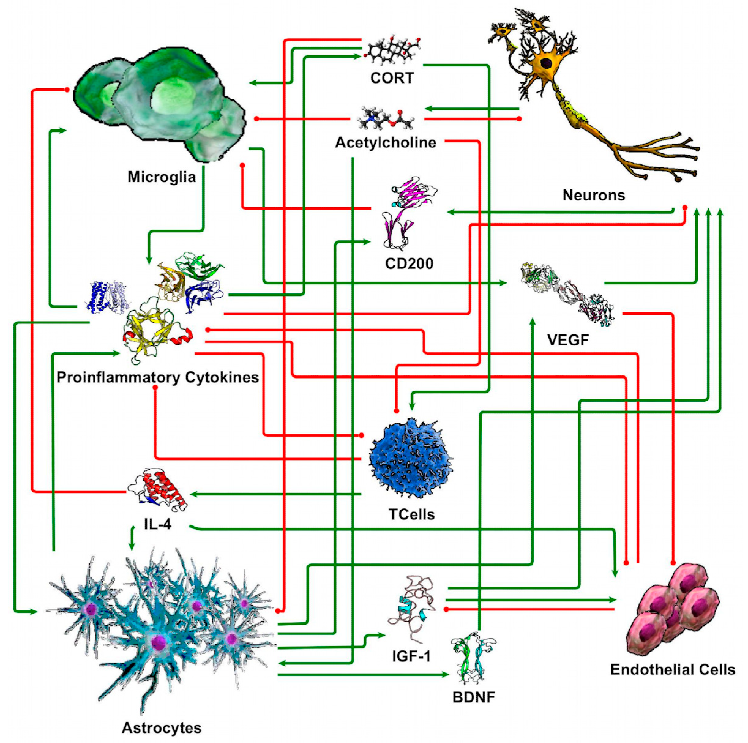 Brainsci 13 00623 g002 Brainsci 13 00623 g002