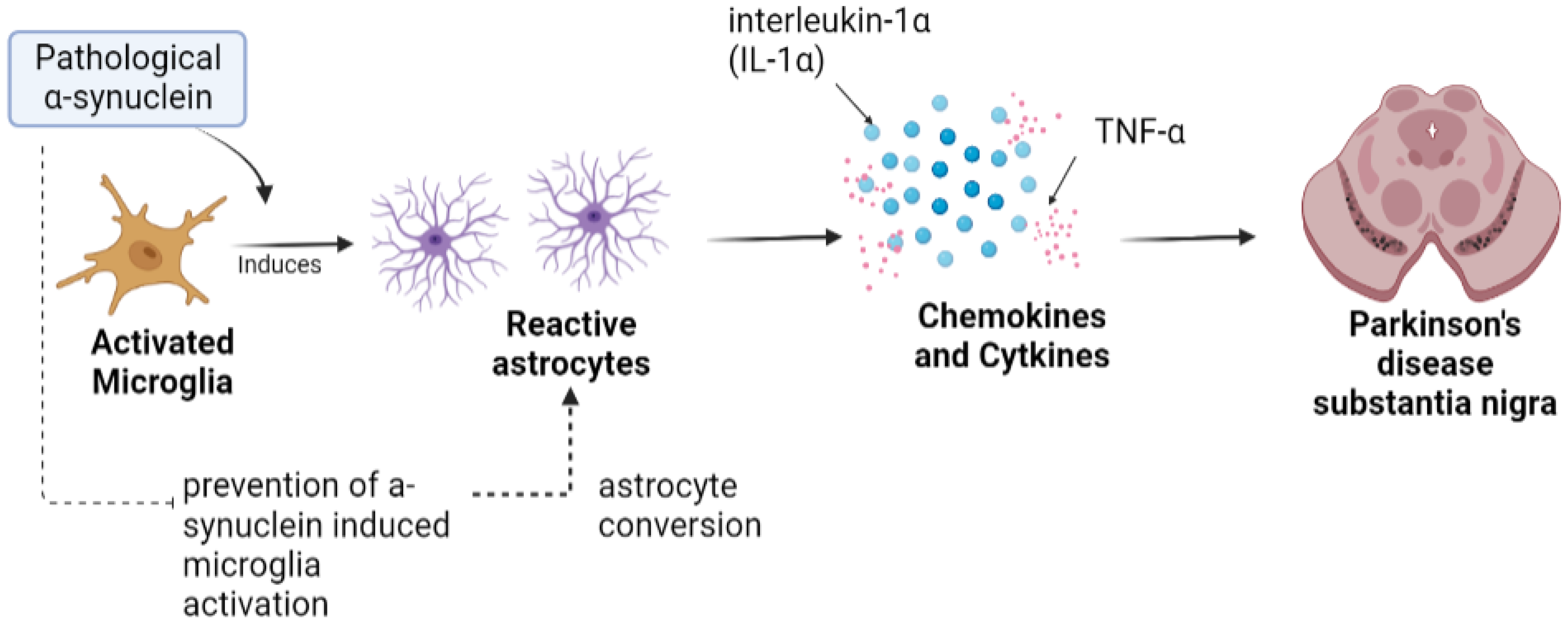 Brainsci 13 00634 g002 Brainsci 13 00634 g002