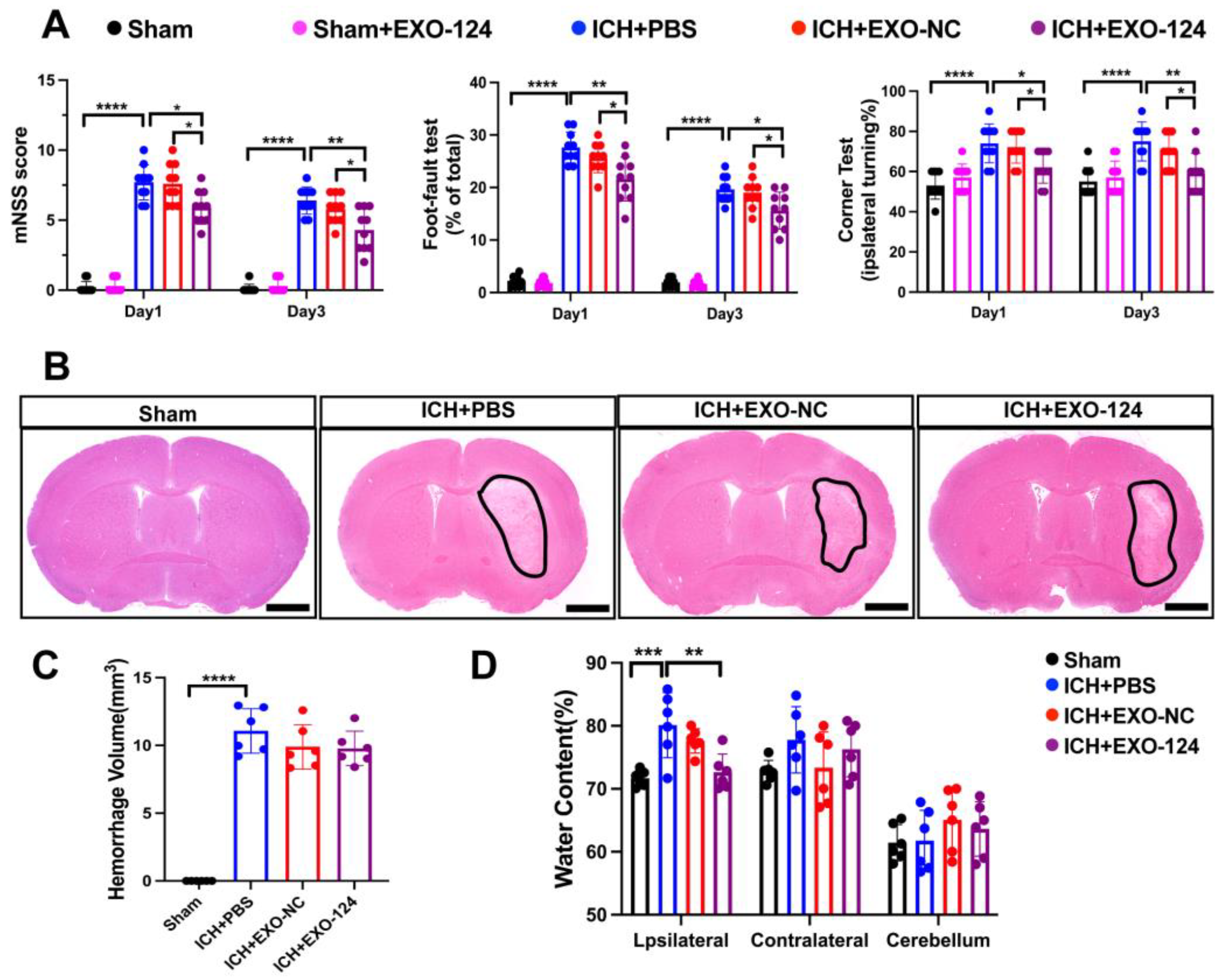 Brainsci 13 00639 g003
