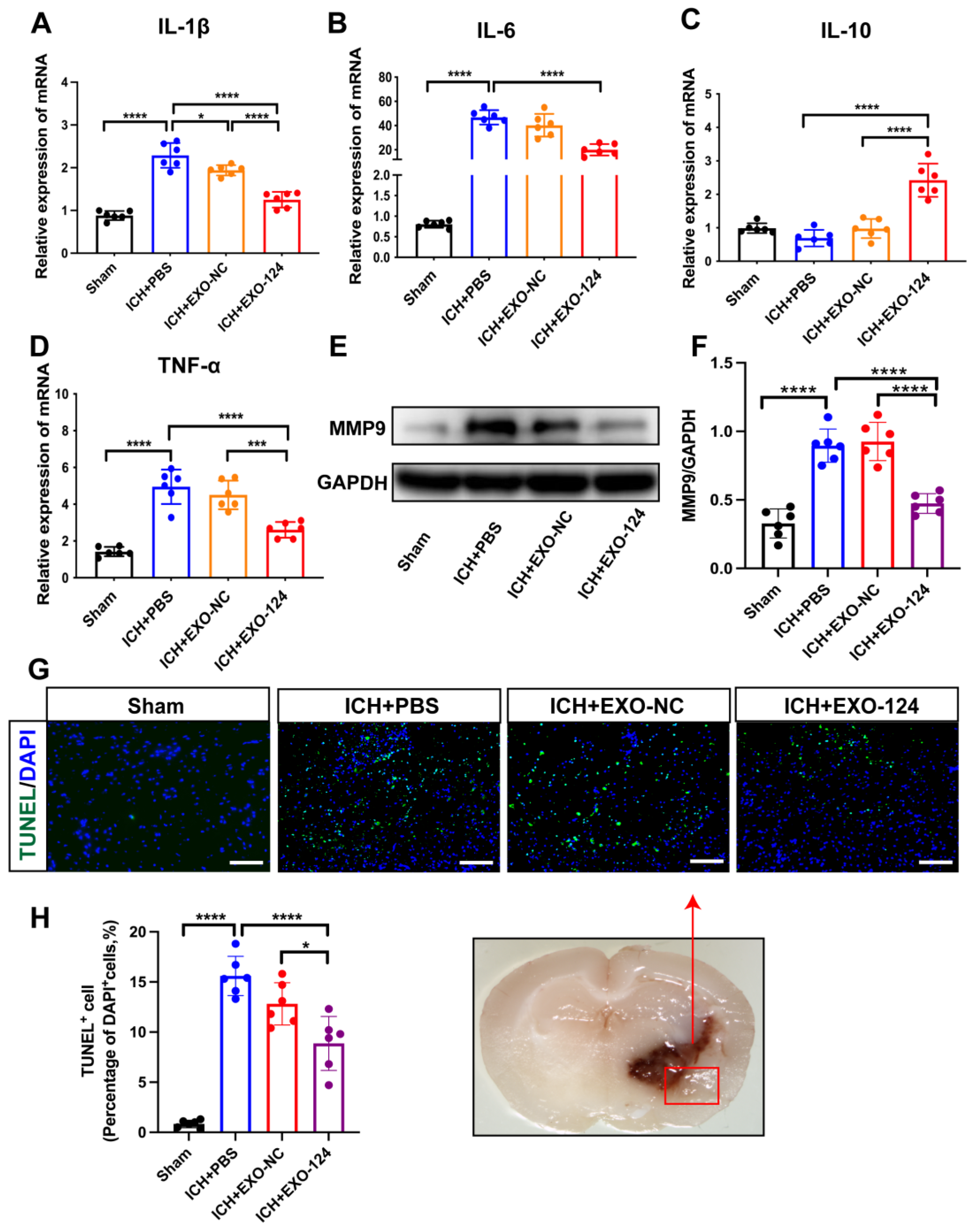 Brainsci 13 00639 g005