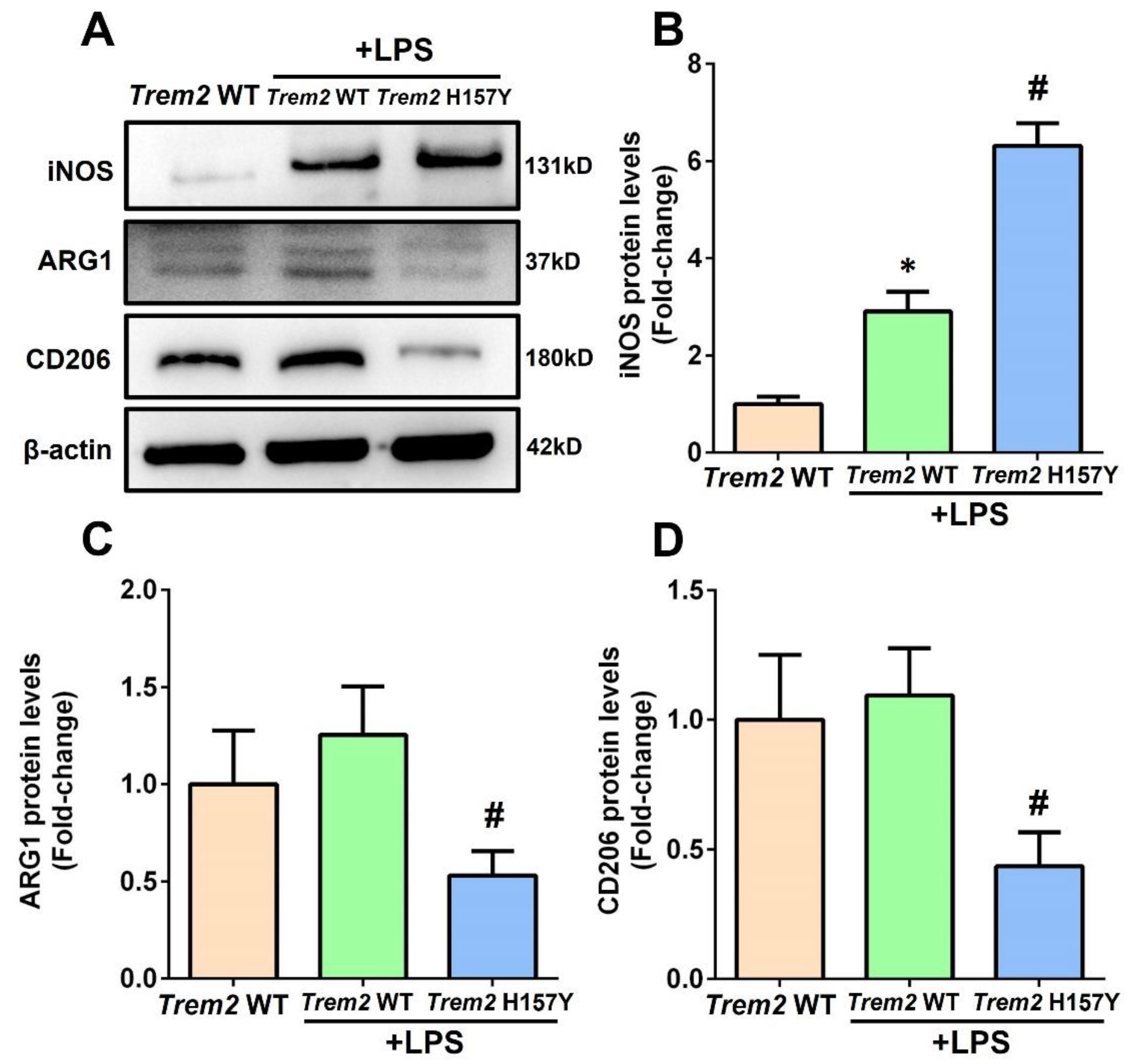 Brainsci 13 00642 g002