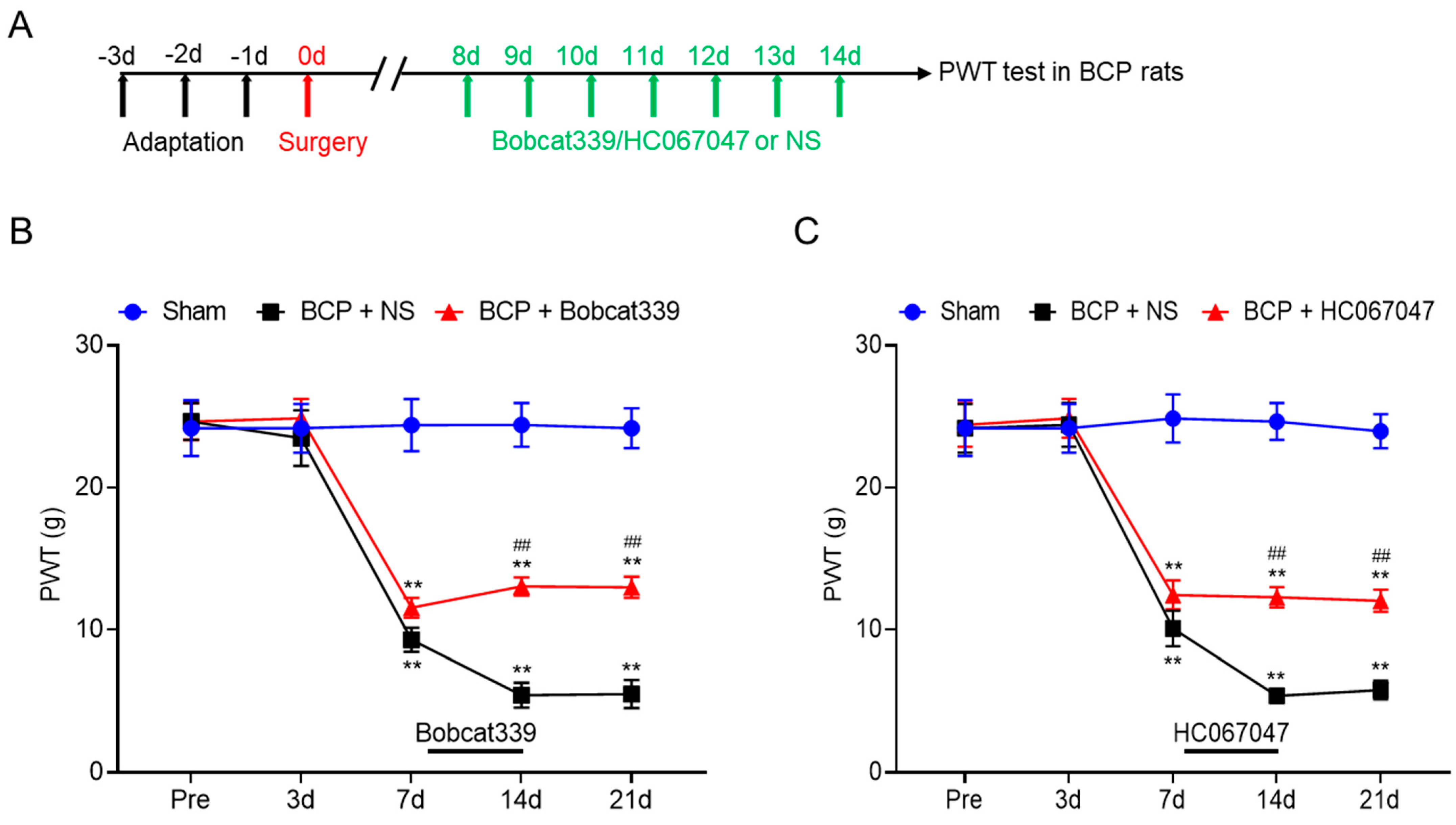 Brainsci 13 00644 g007