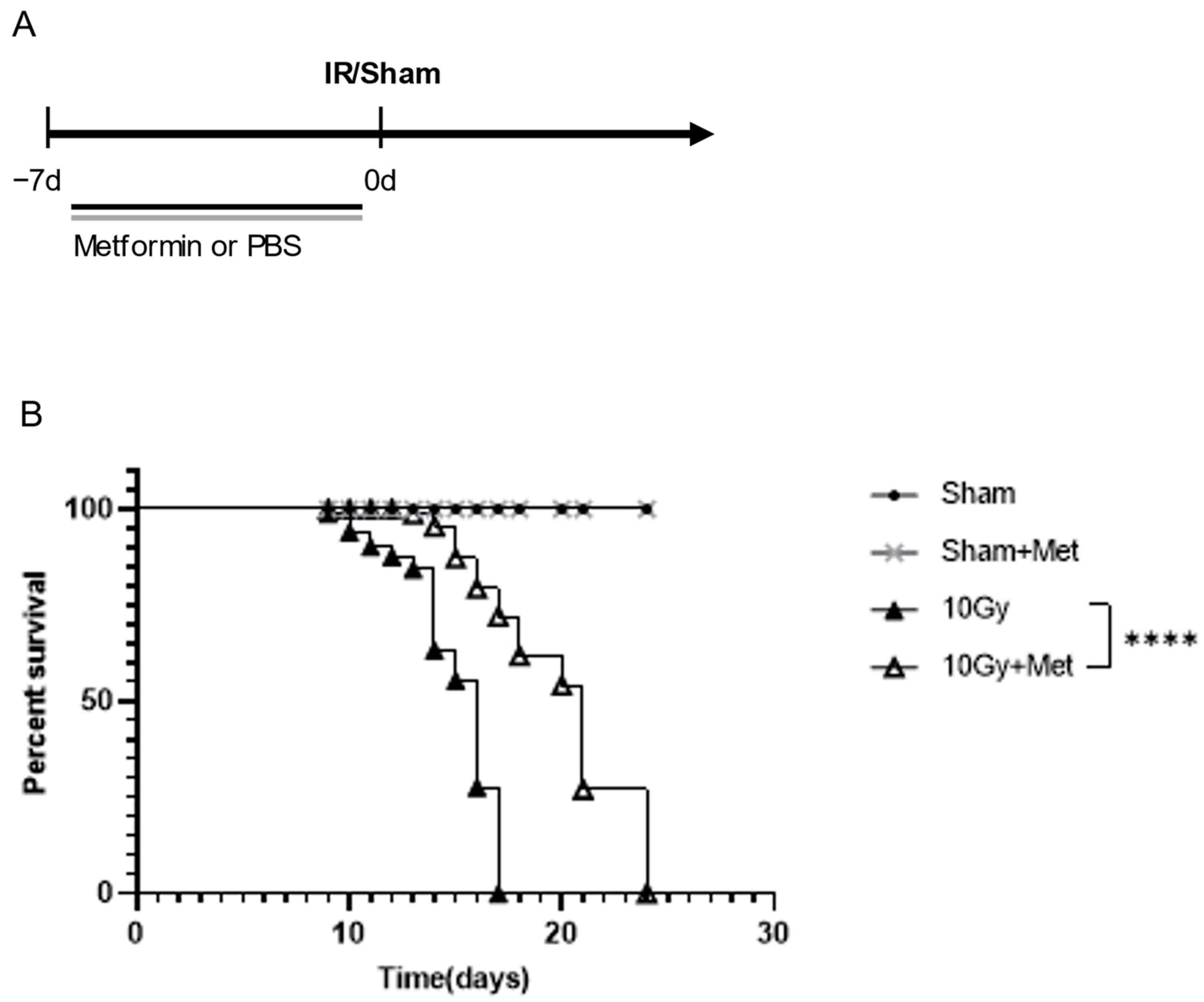 Brainsci 13 00645 g001 Brainsci 13 00645 g001