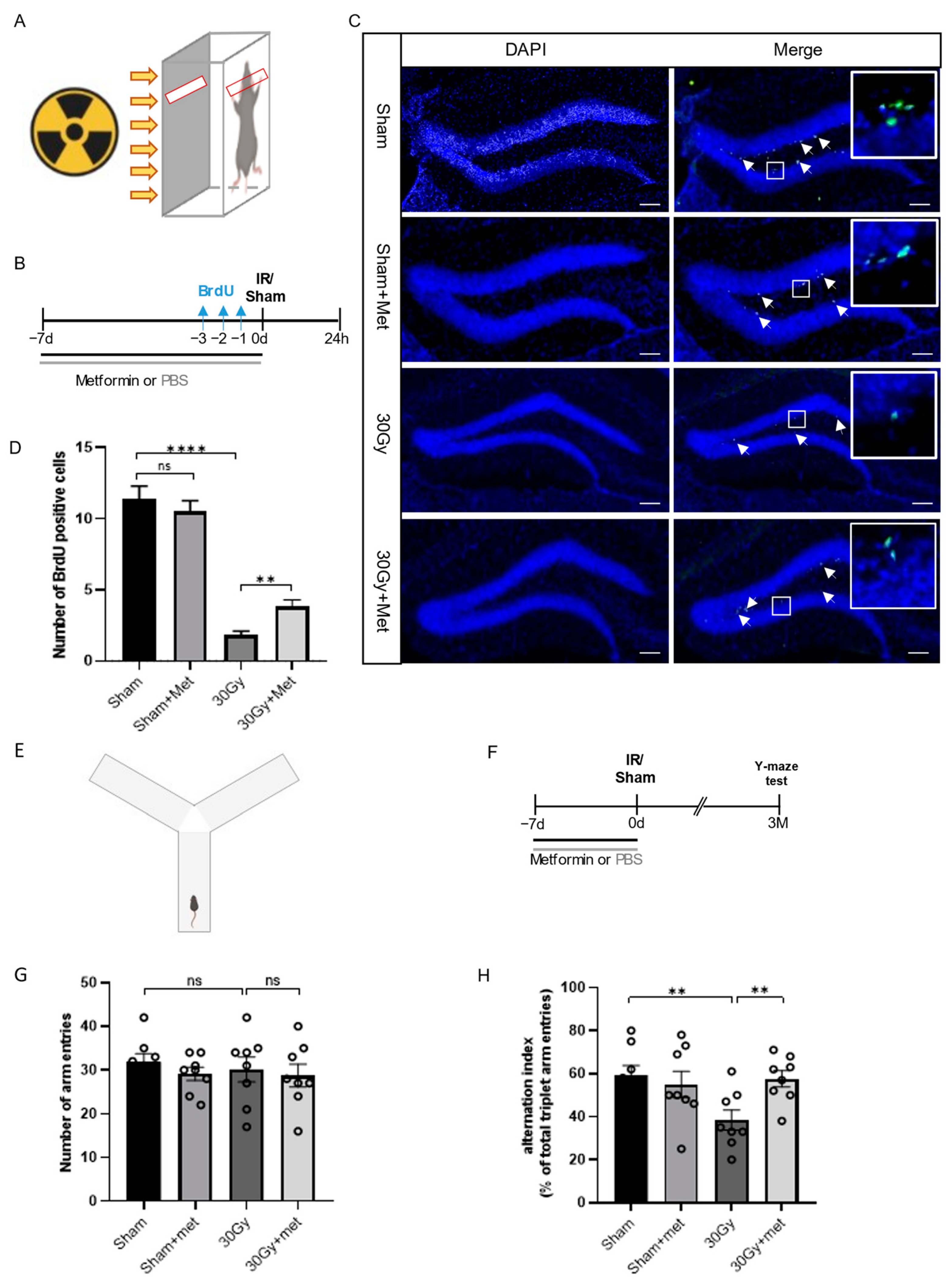 Brainsci 13 00645 g002 Brainsci 13 00645 g002