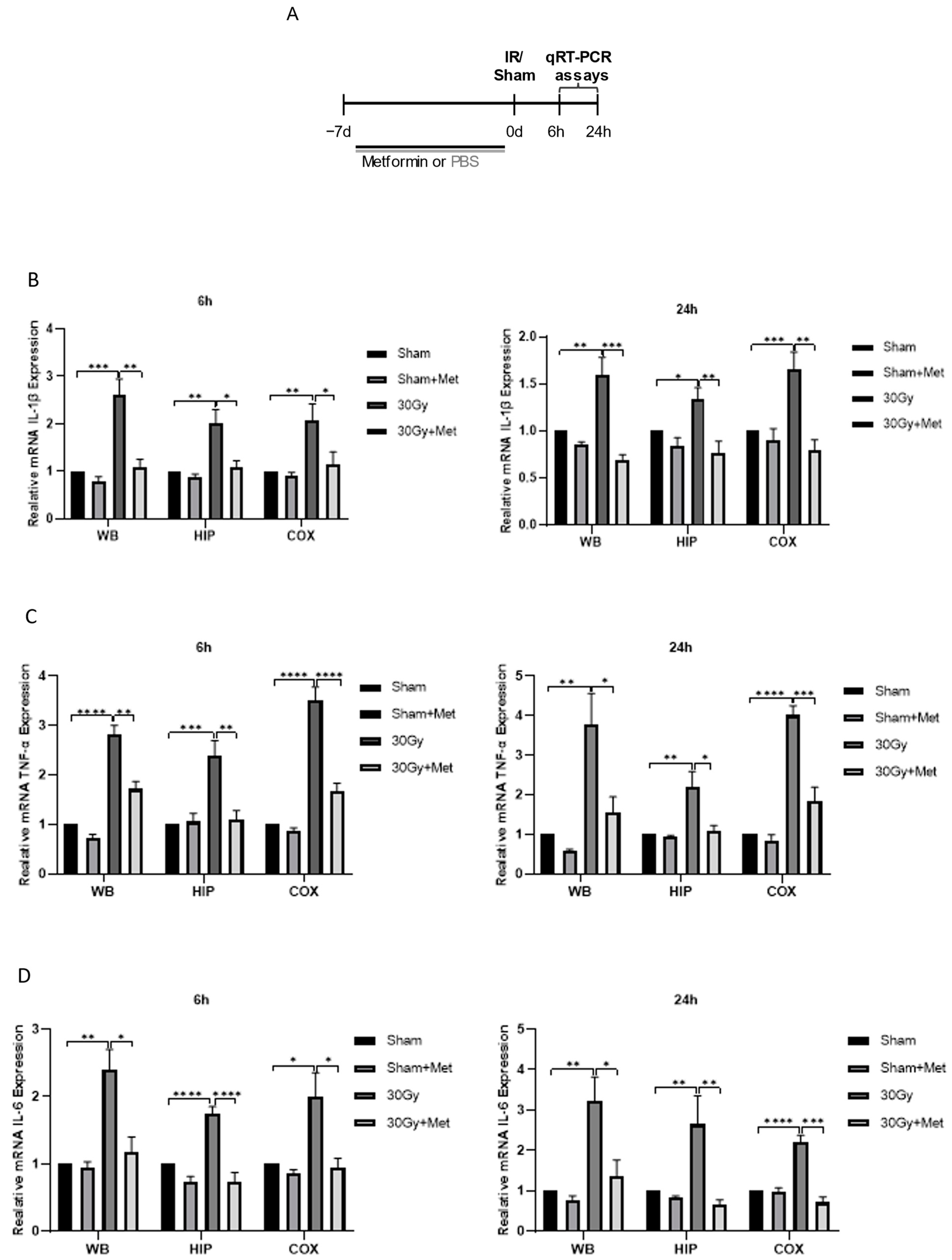 Brainsci 13 00645 g003 Brainsci 13 00645 g003