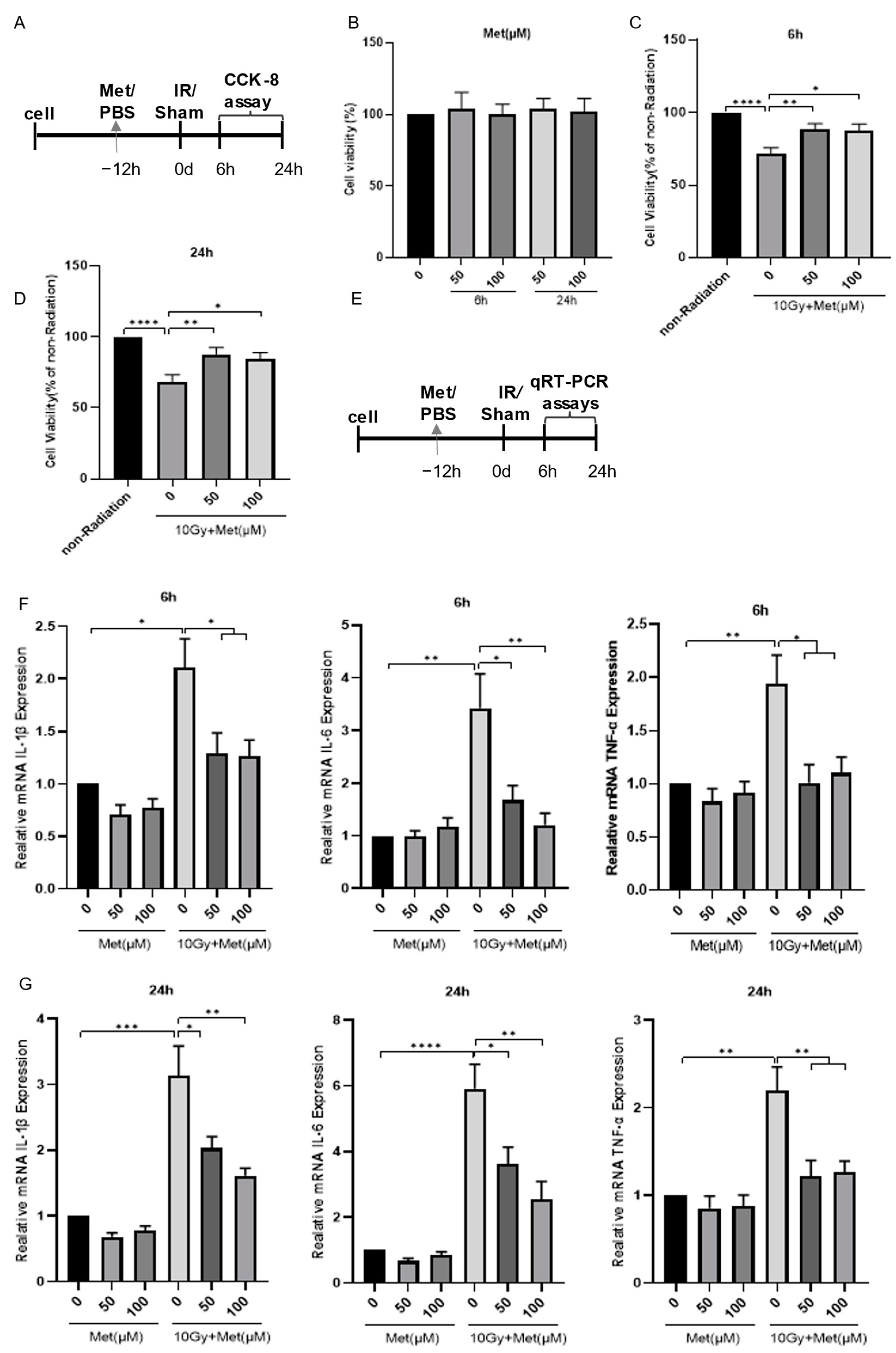 Brainsci 13 00645 g004 Brainsci 13 00645 g004