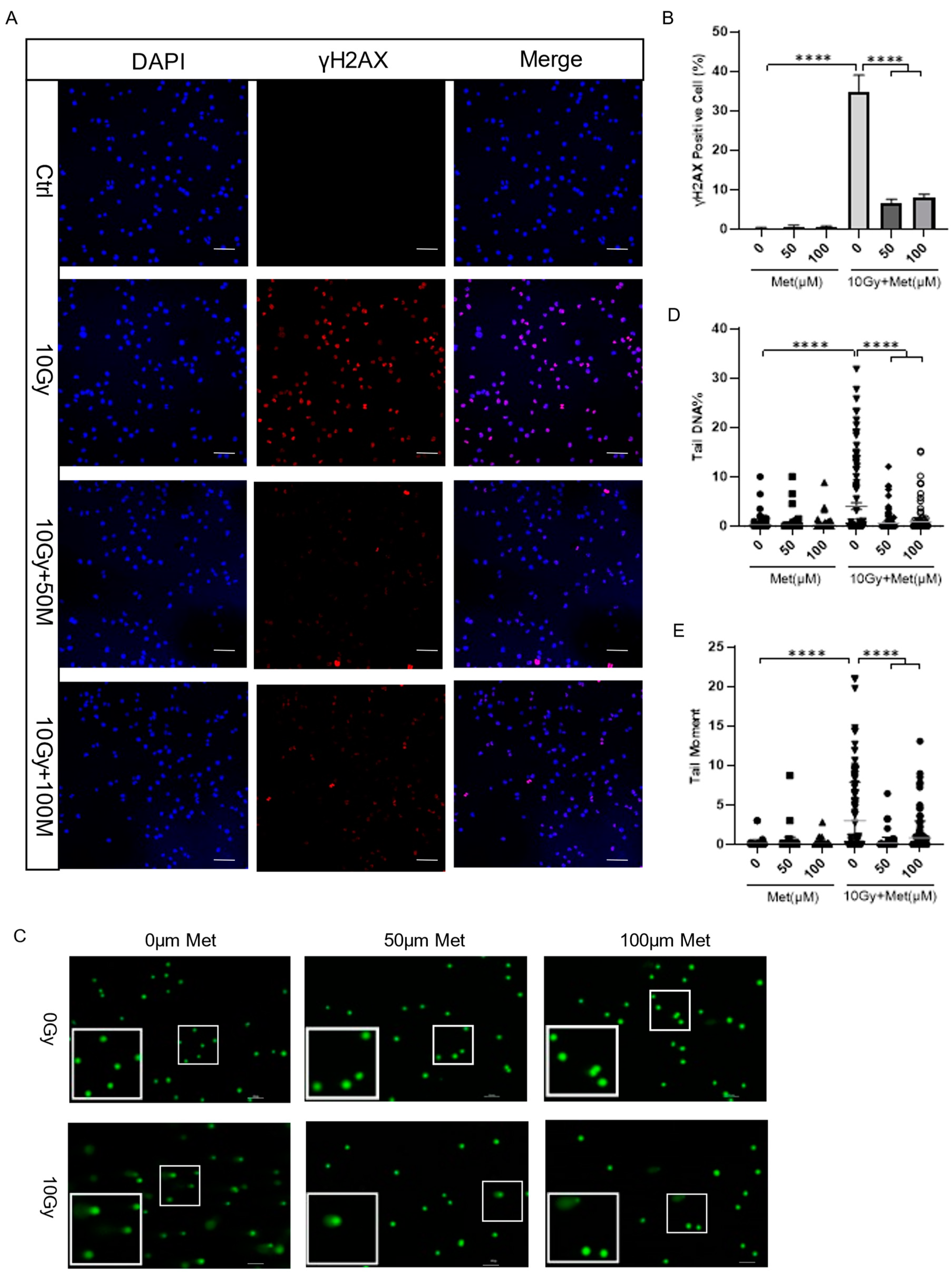 Brainsci 13 00645 g005 Brainsci 13 00645 g005