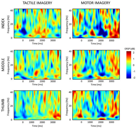 eeg 2011年 Subcortical electrophysiological activity is detectable with