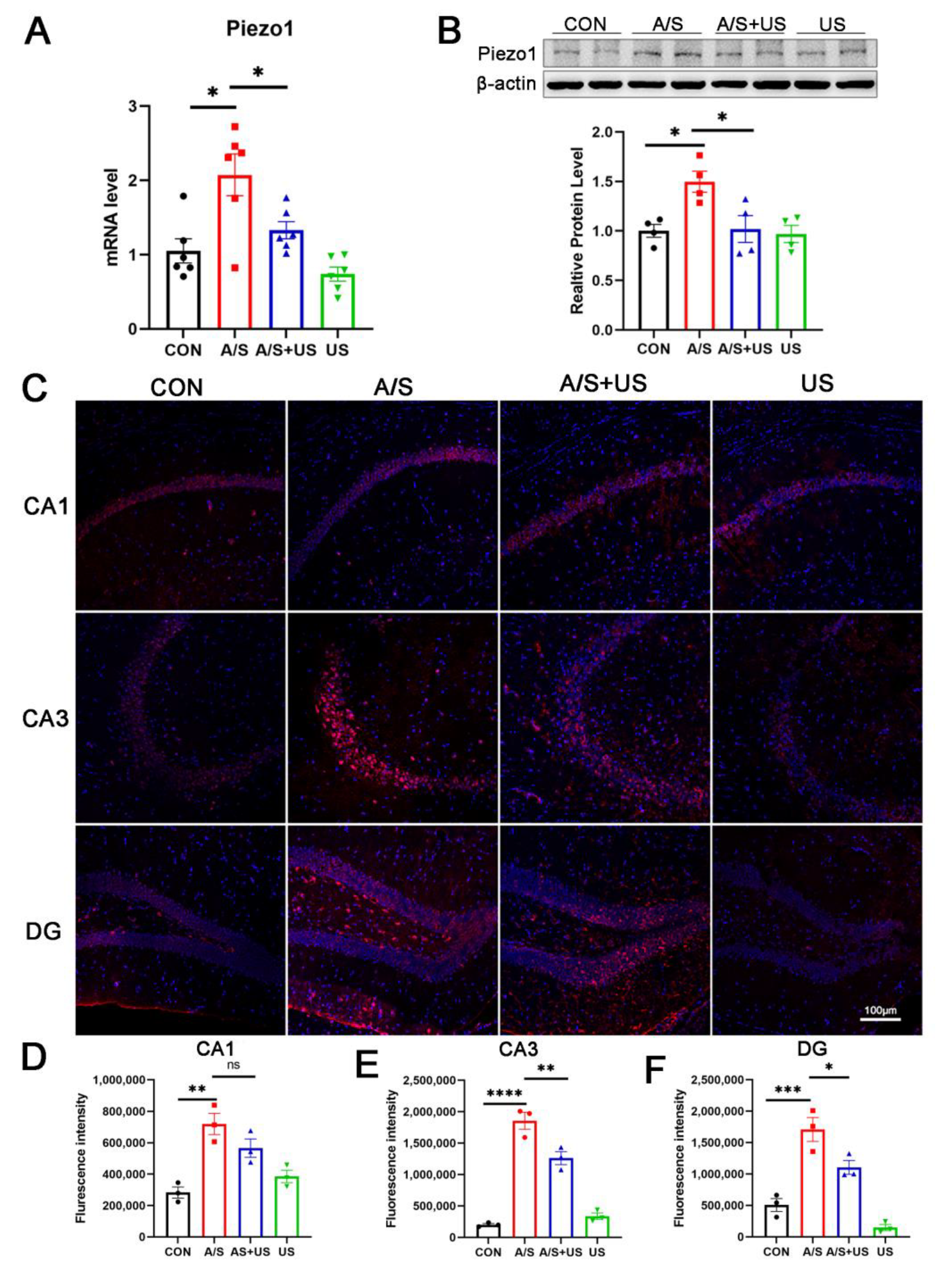 Brainsci 13 00657 g005