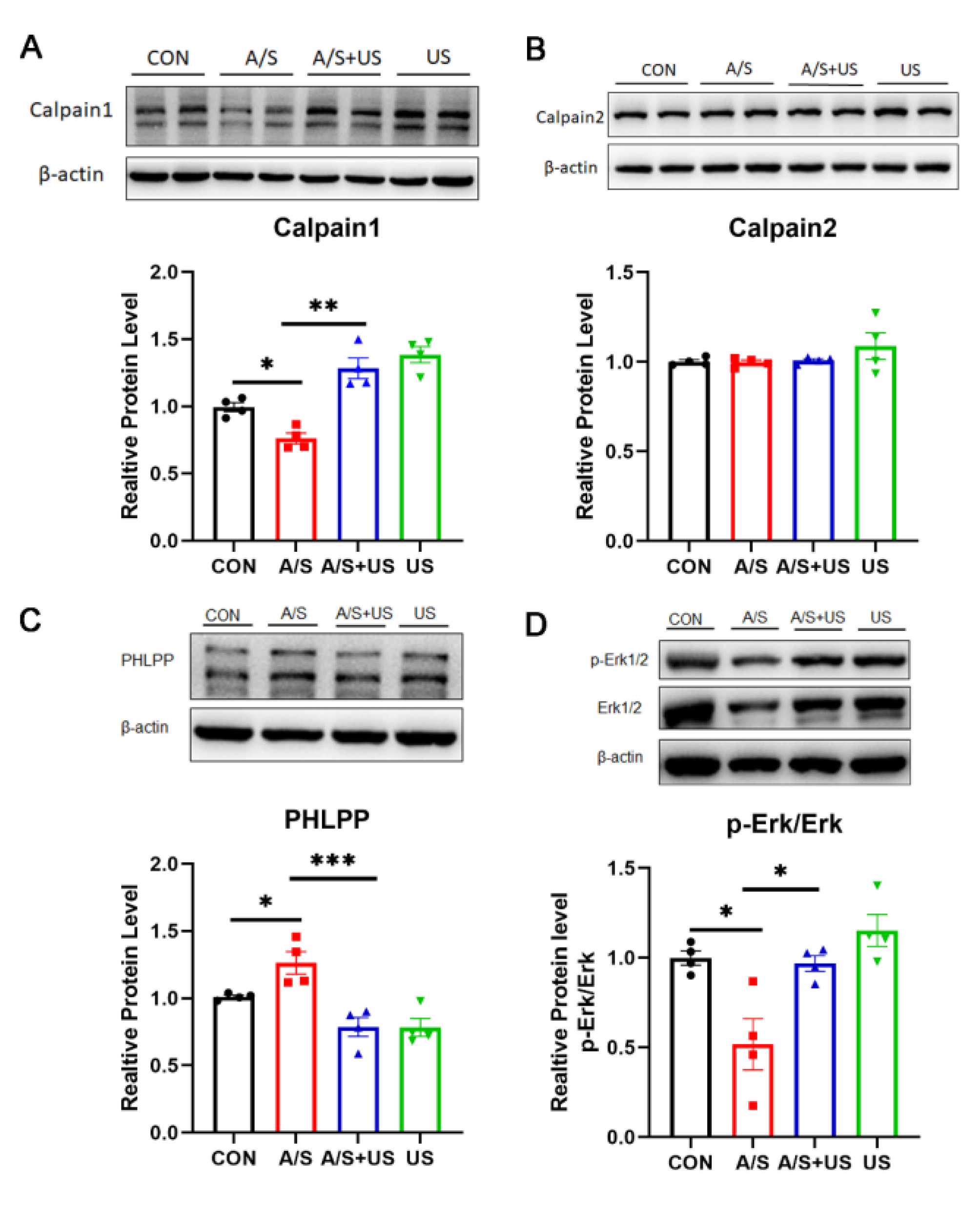 Brainsci 13 00657 g006