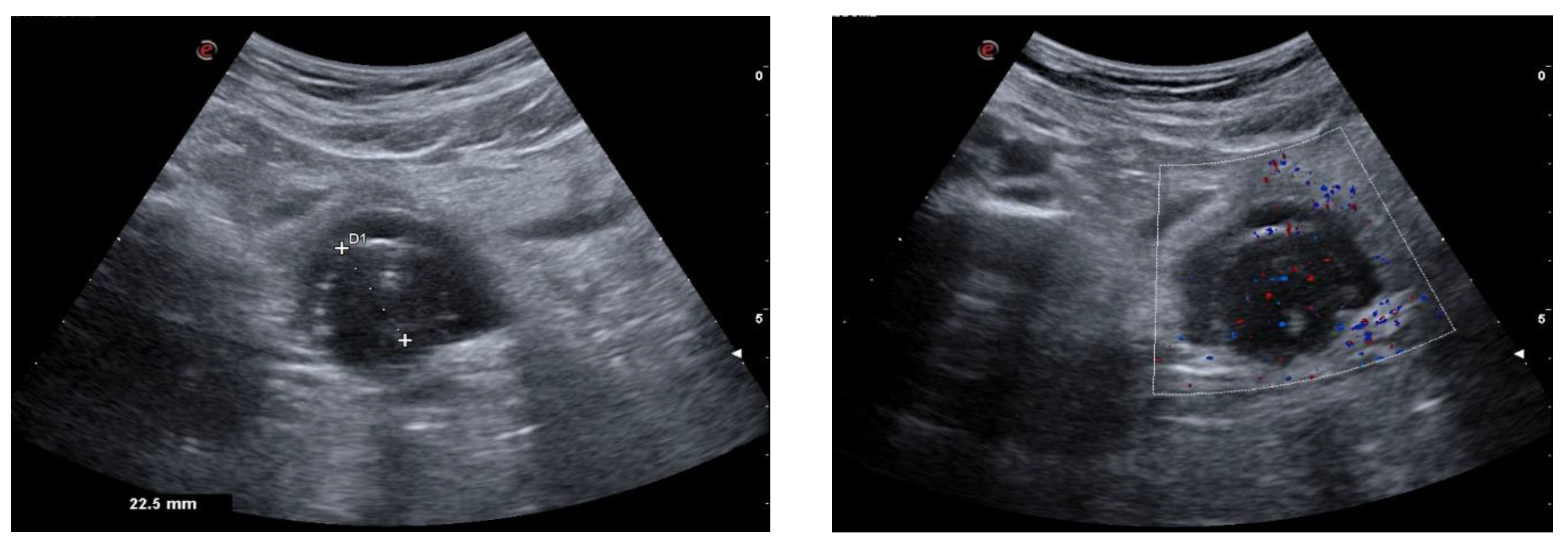 Brainsci 13 00662 g002