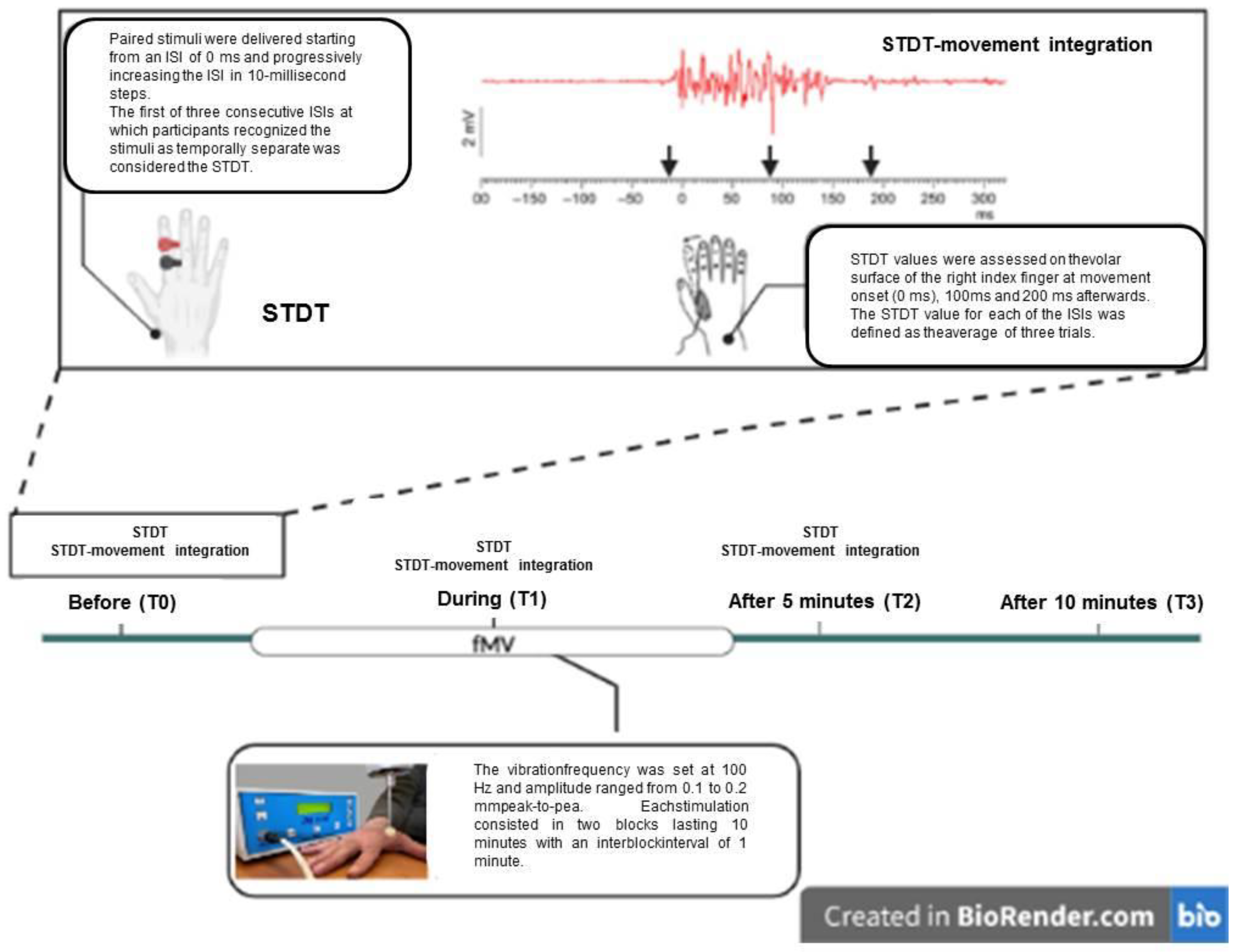 Brainsci 13 00664 g001