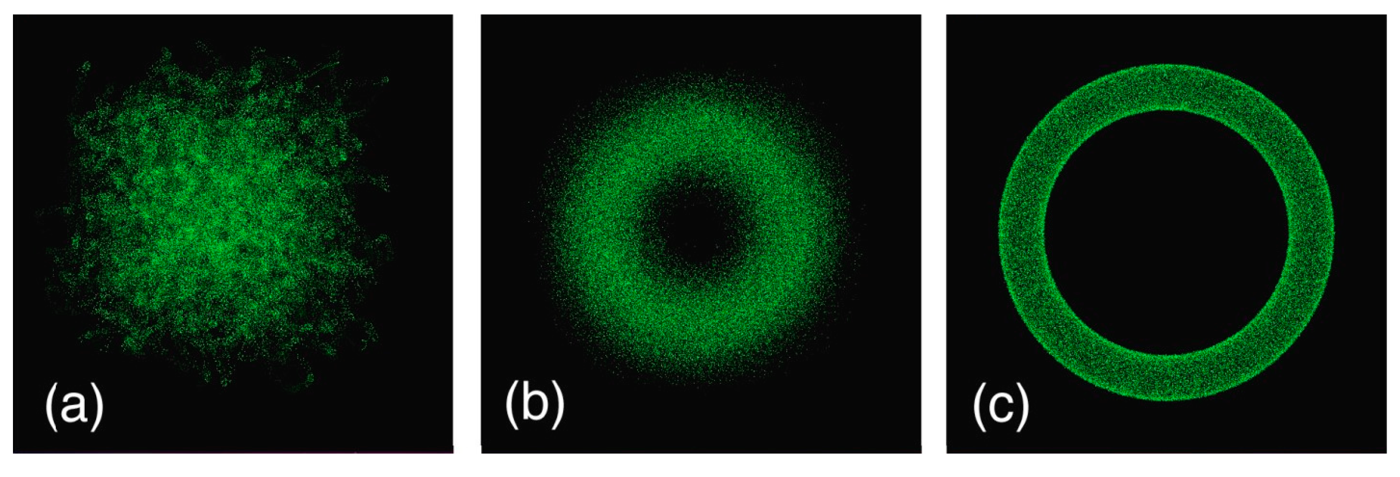 Brainsci 13 00665 g003 Brainsci 13 00665 g003