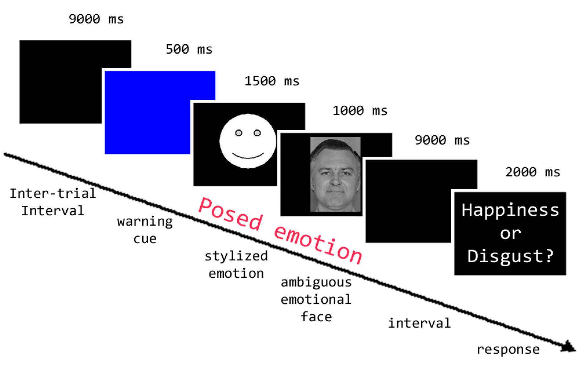 Brainsci 13 00668 g001