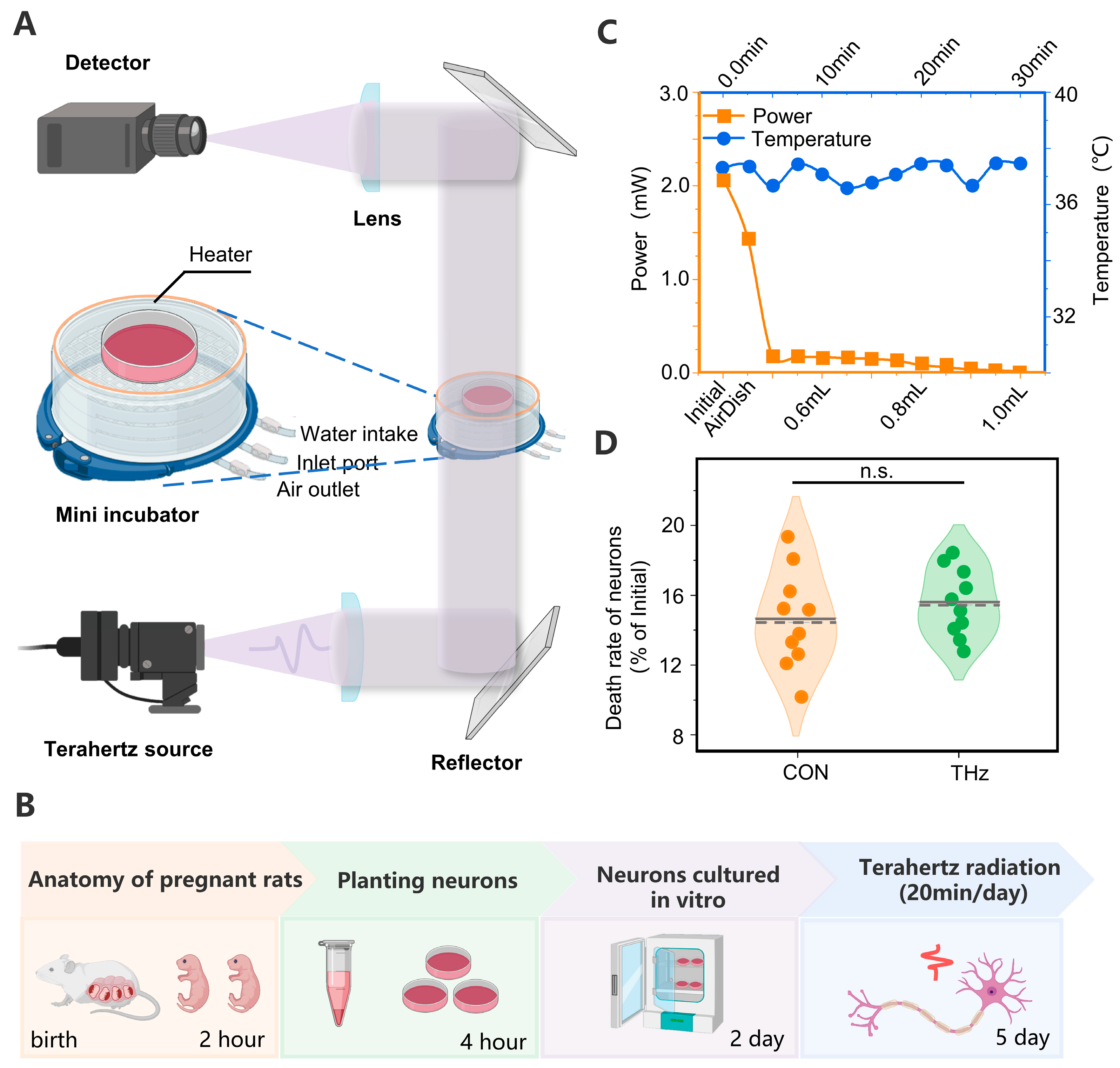 Brainsci 13 00686 g001