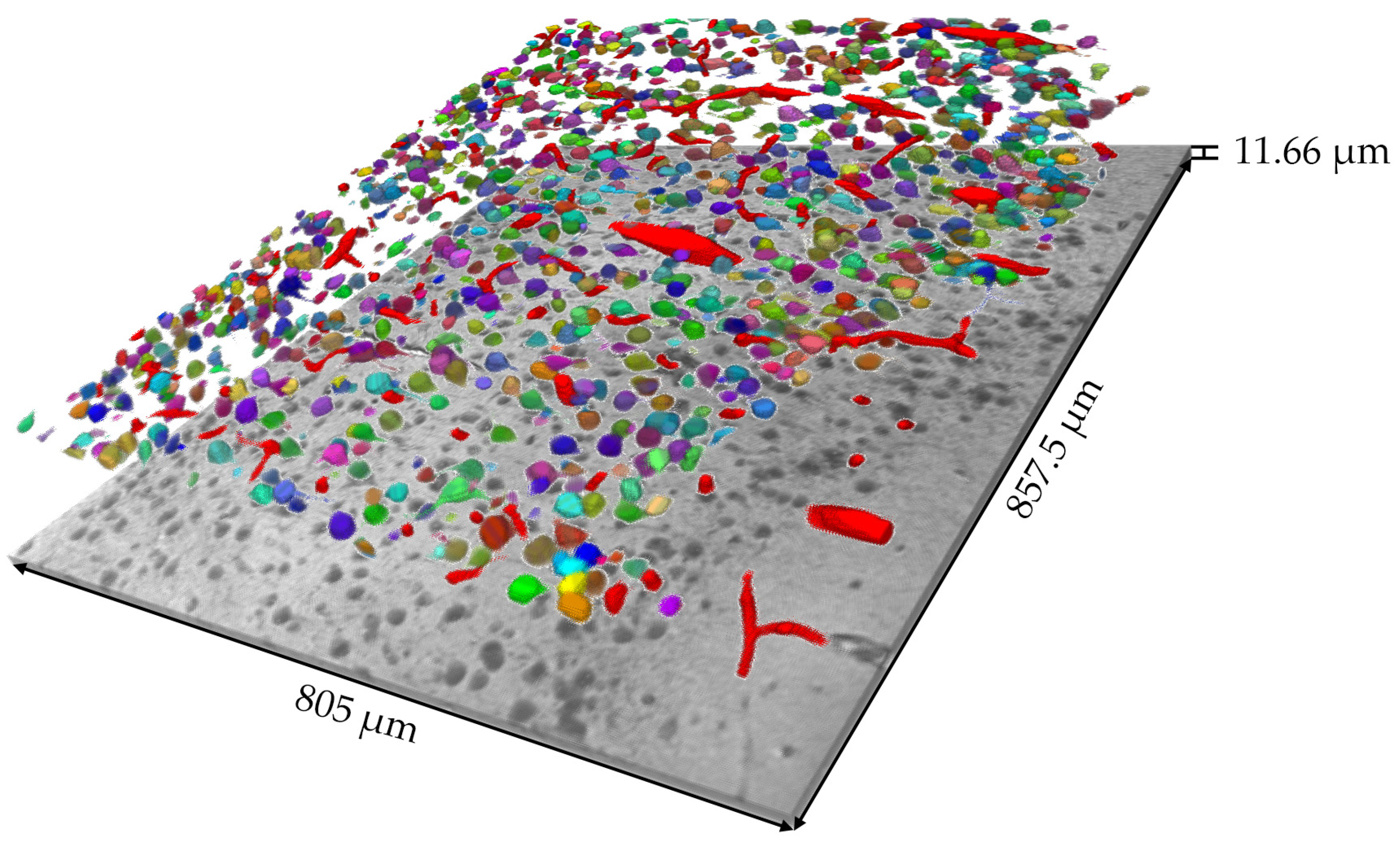 Brainsci 13 00711 g006 Brainsci 13 00711 g006