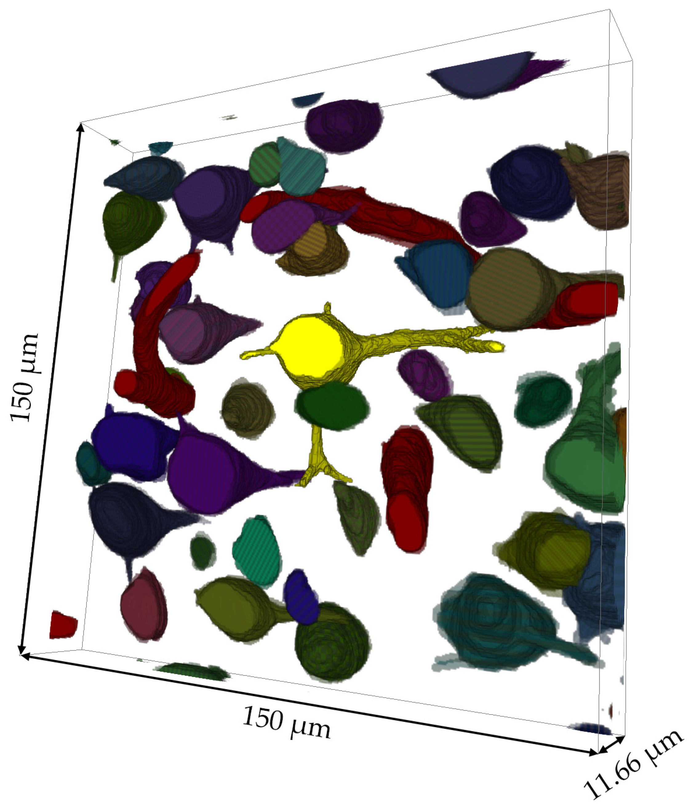 Brainsci 13 00711 g007 Brainsci 13 00711 g007