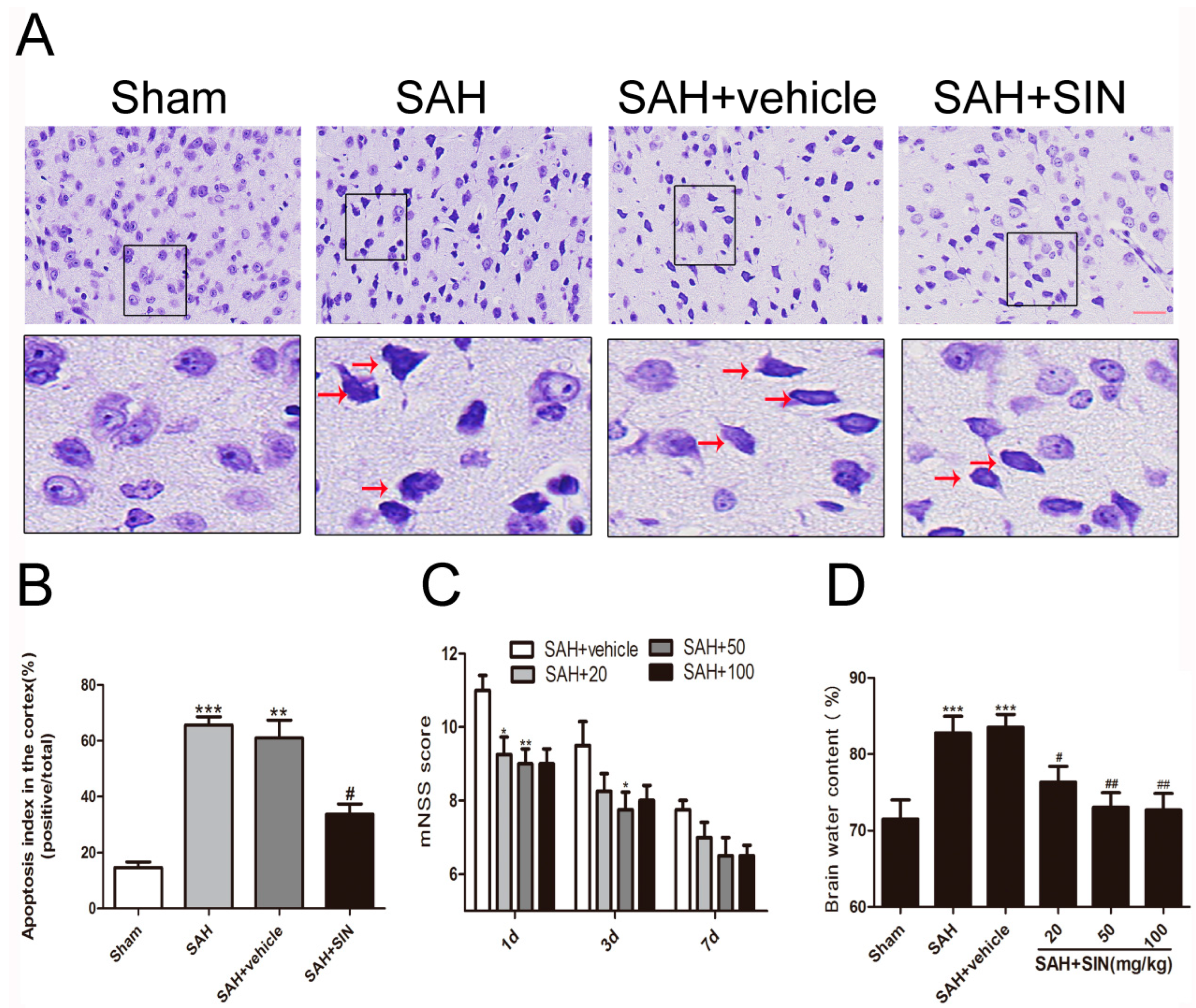 Brainsci 13 00716 g001 Brainsci 13 00716 g001