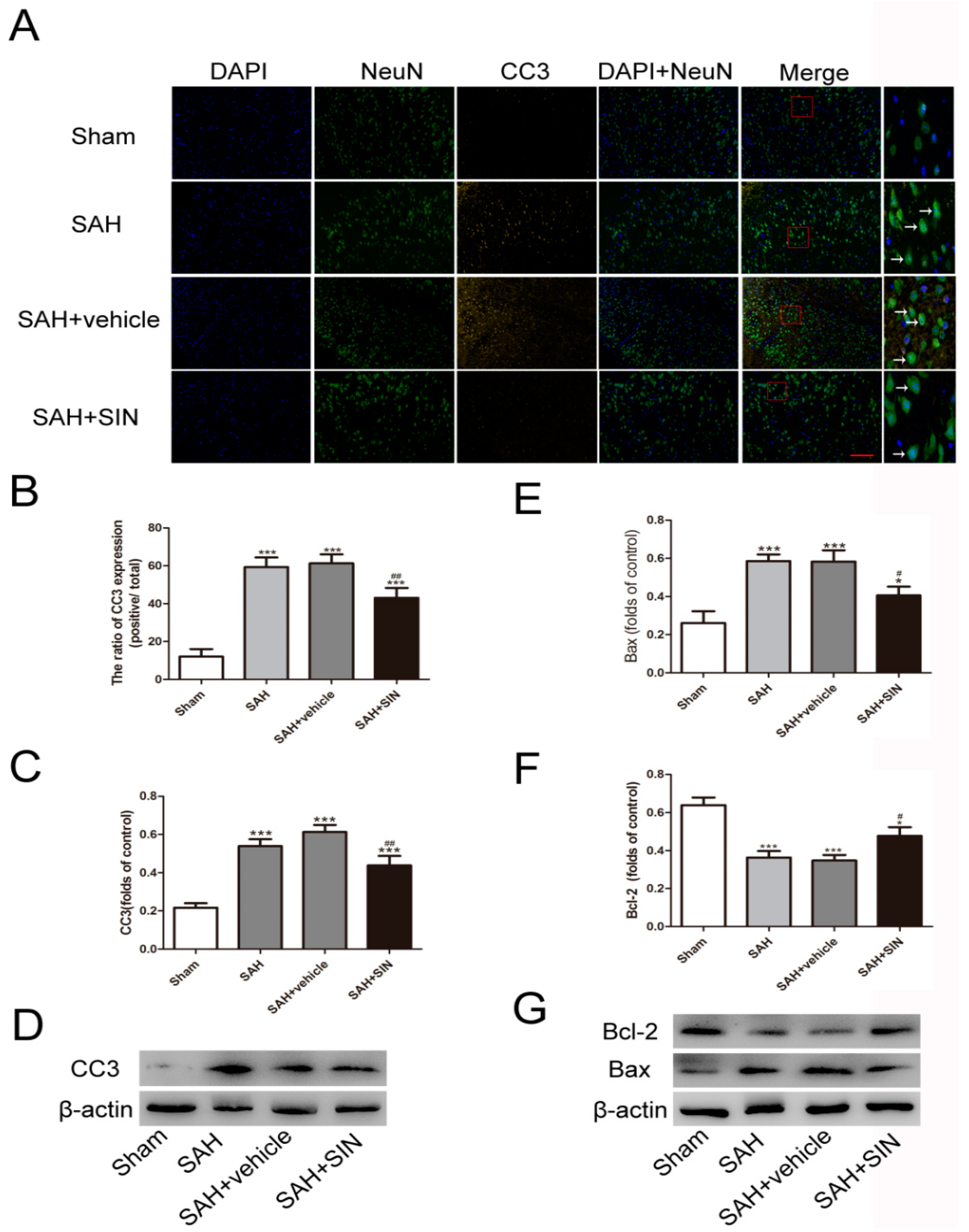 Brainsci 13 00716 g002 Brainsci 13 00716 g002