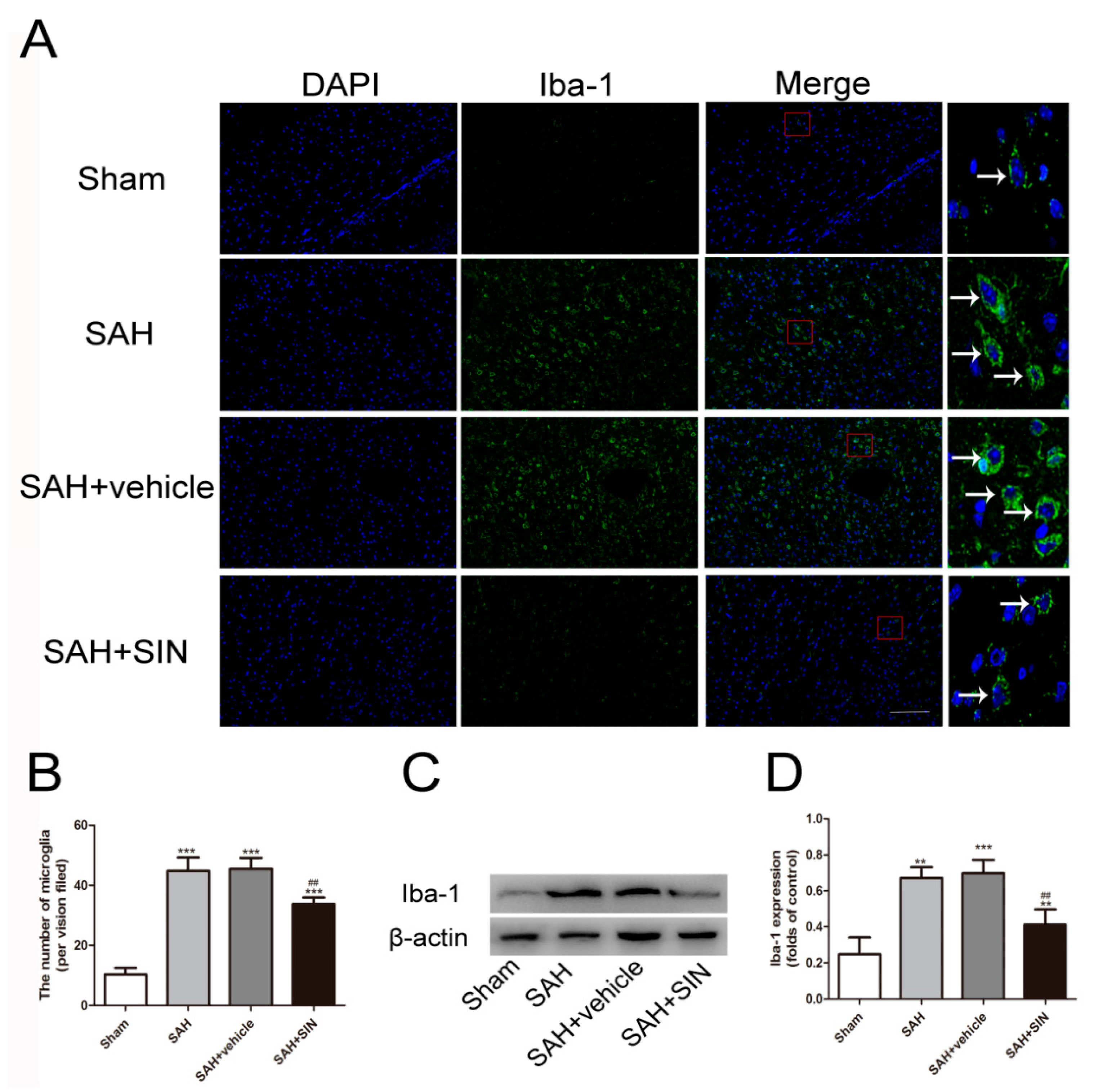 Brainsci 13 00716 g003 Brainsci 13 00716 g003